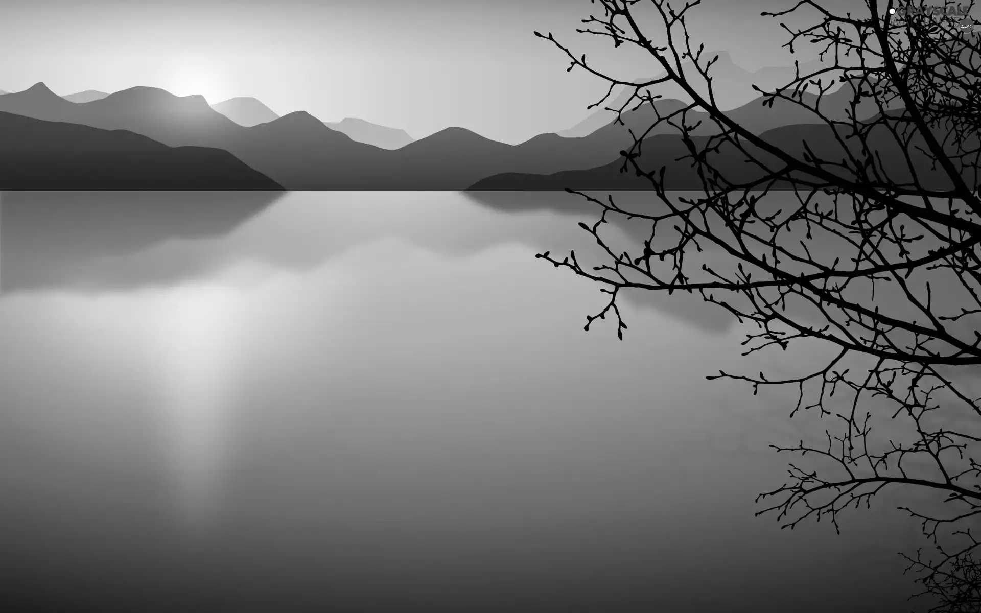 lake, branch pics, Gold, glamour