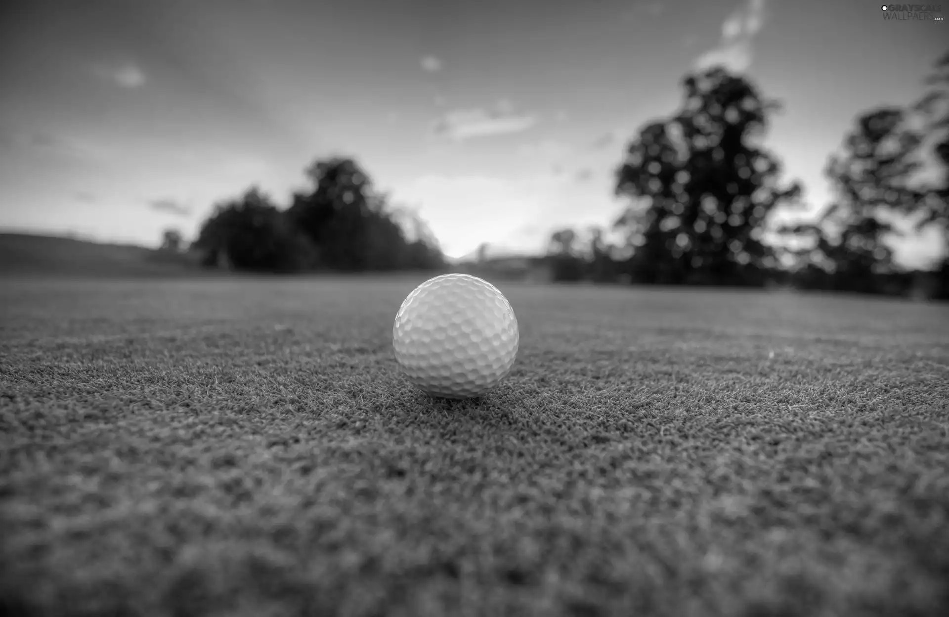 Great Sunsets, Ball, golf, grass