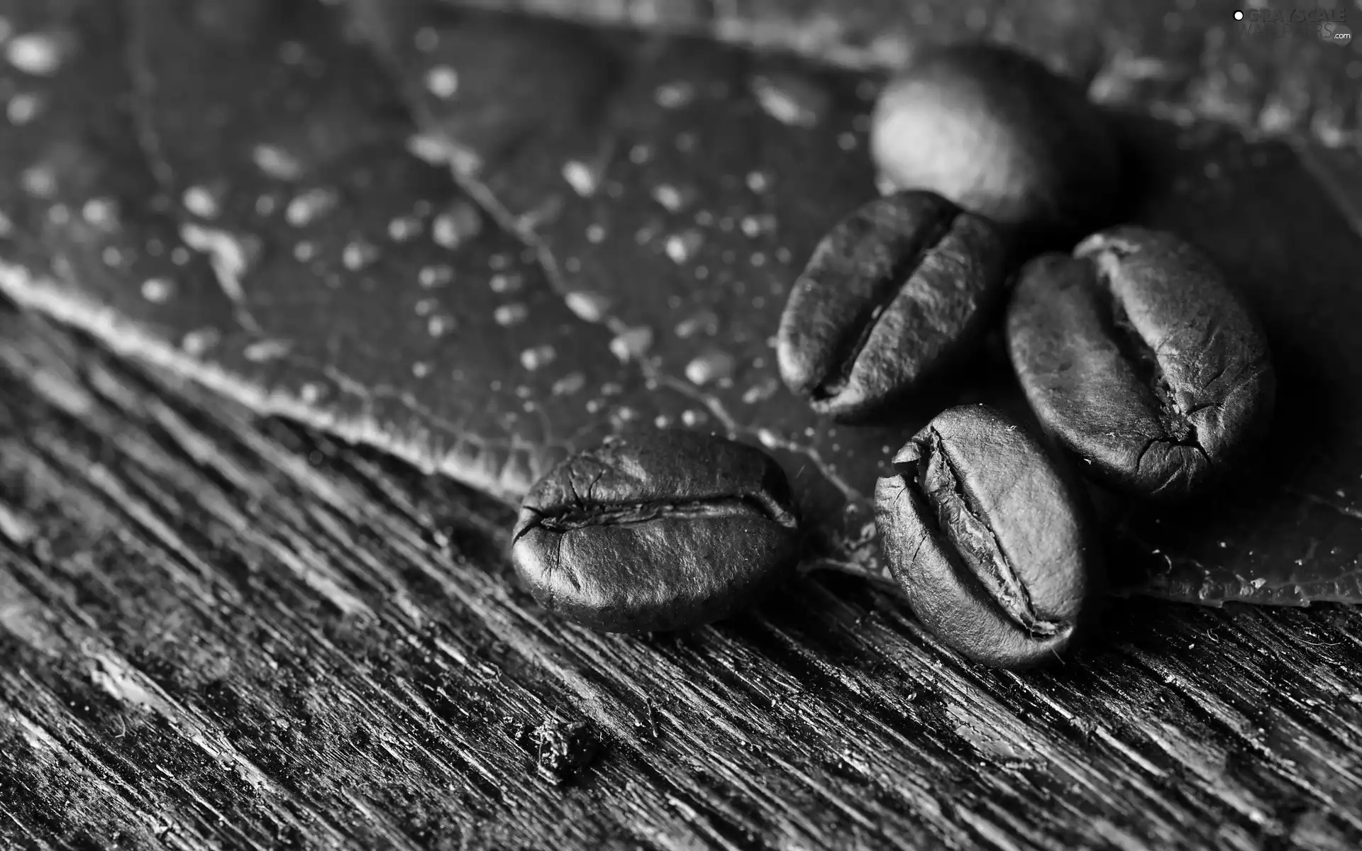 coffee, grains
