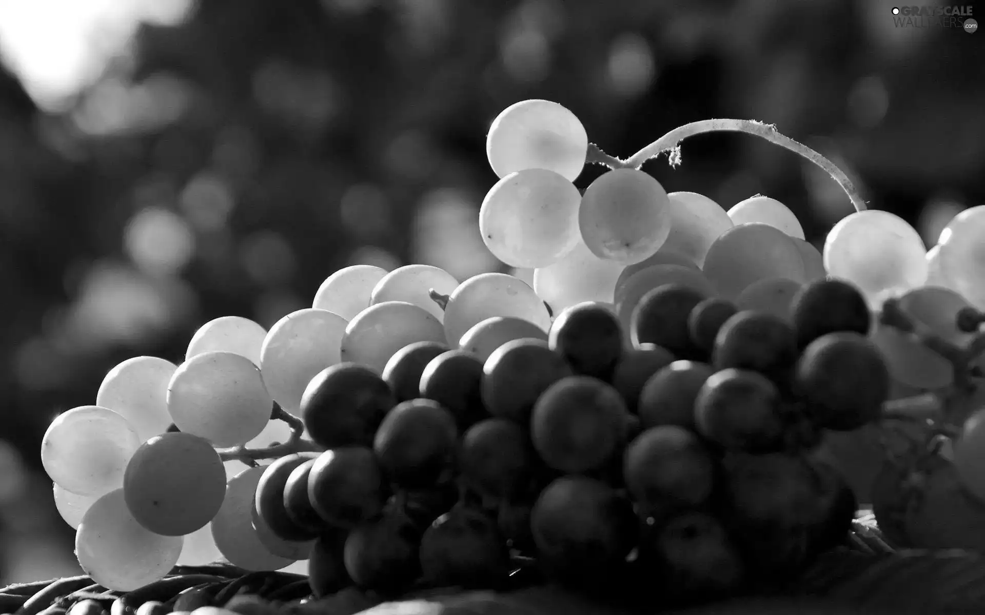 Grapes, White, Black