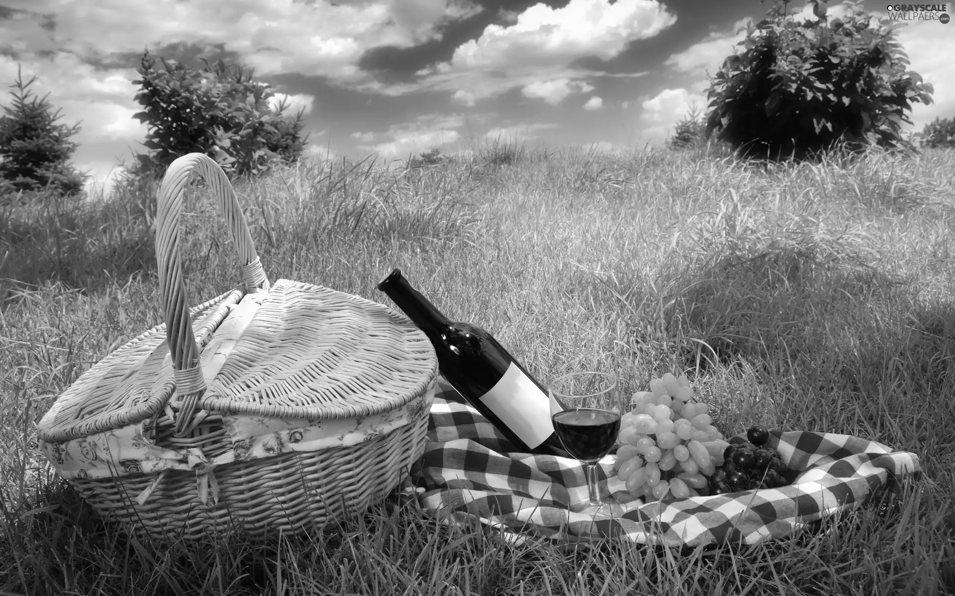 Grapes, picnic, basket, Wine, grass