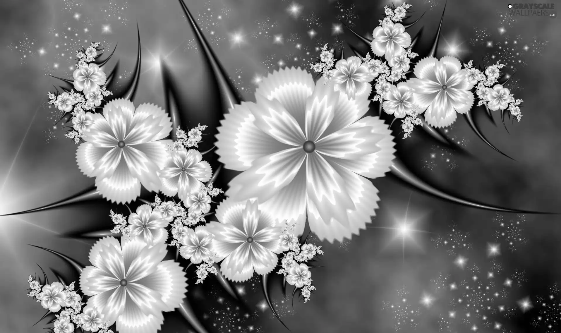 Blue, Pink, graphics, 3D, background, Flowers