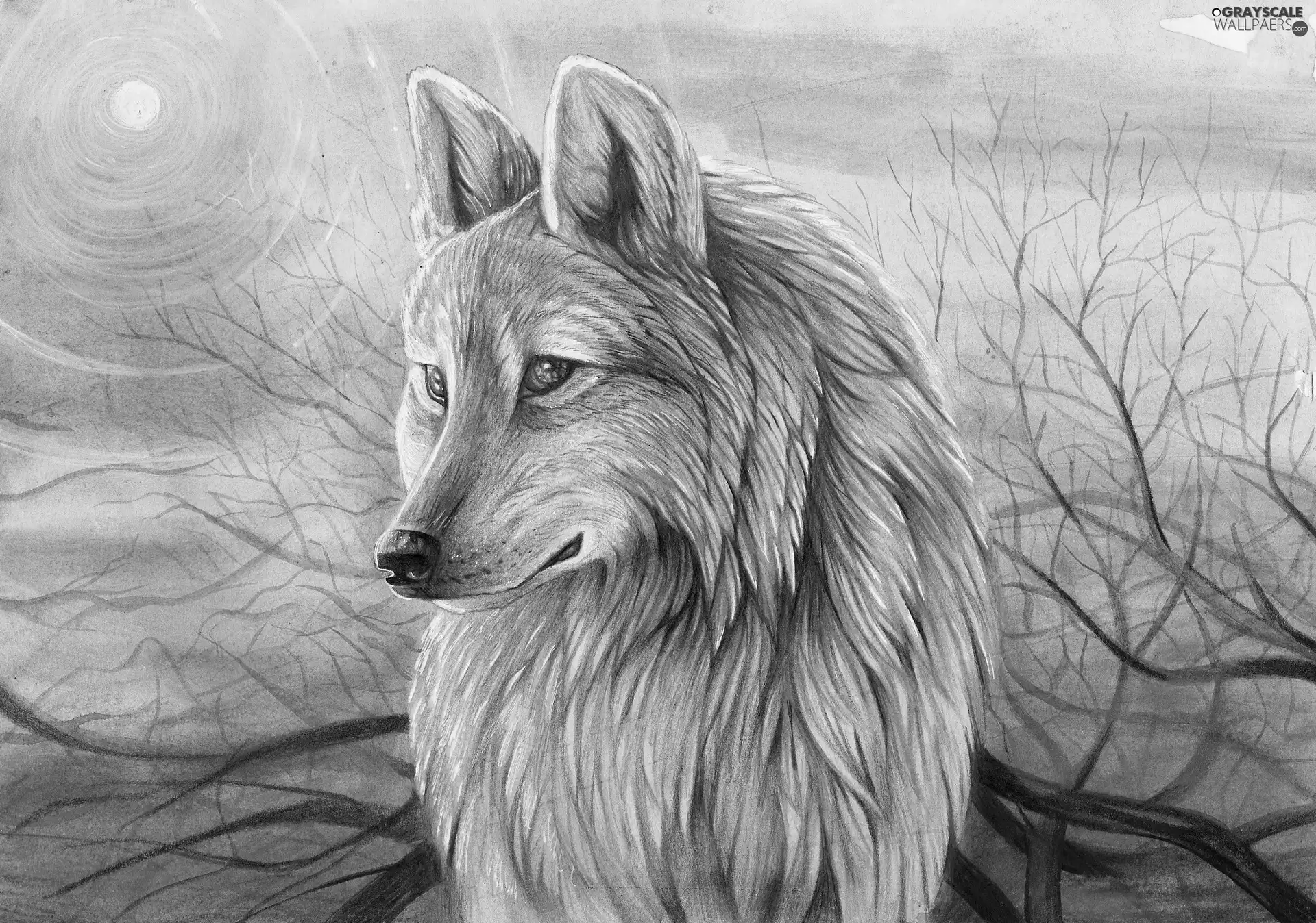 graphics, Wolf, branches