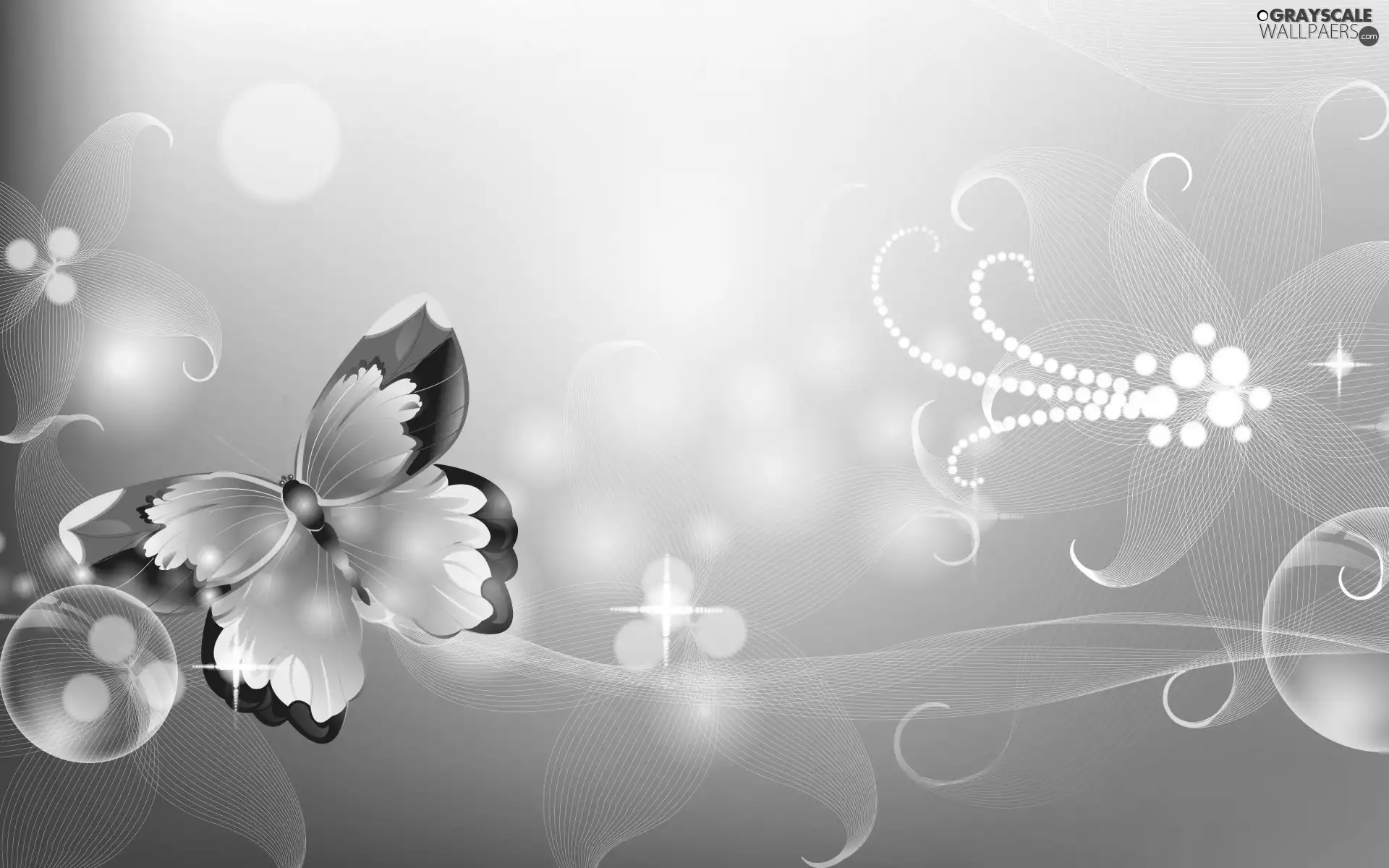 butterfly, yellows, graphics, colors