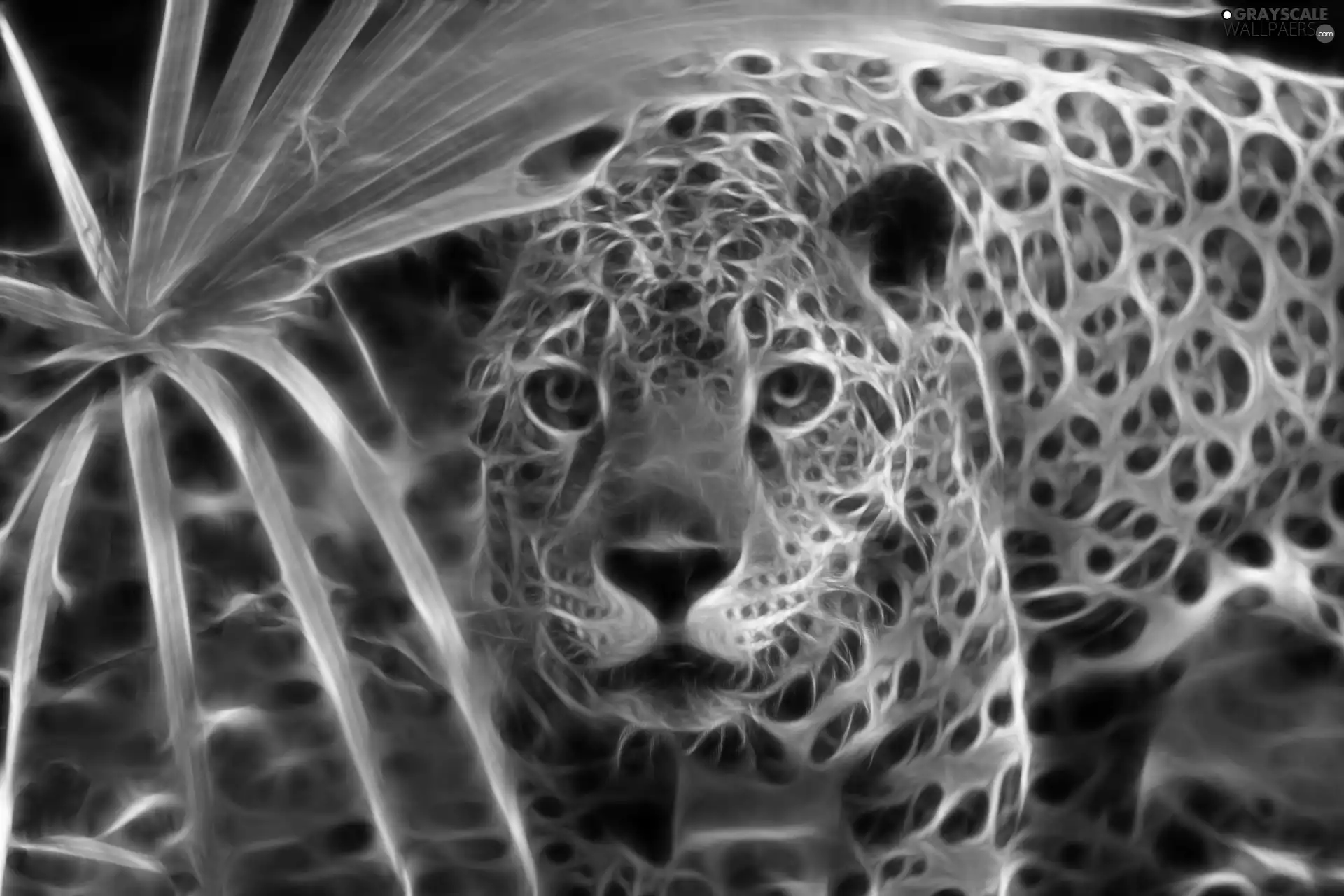 Jaguar, Fractalius
