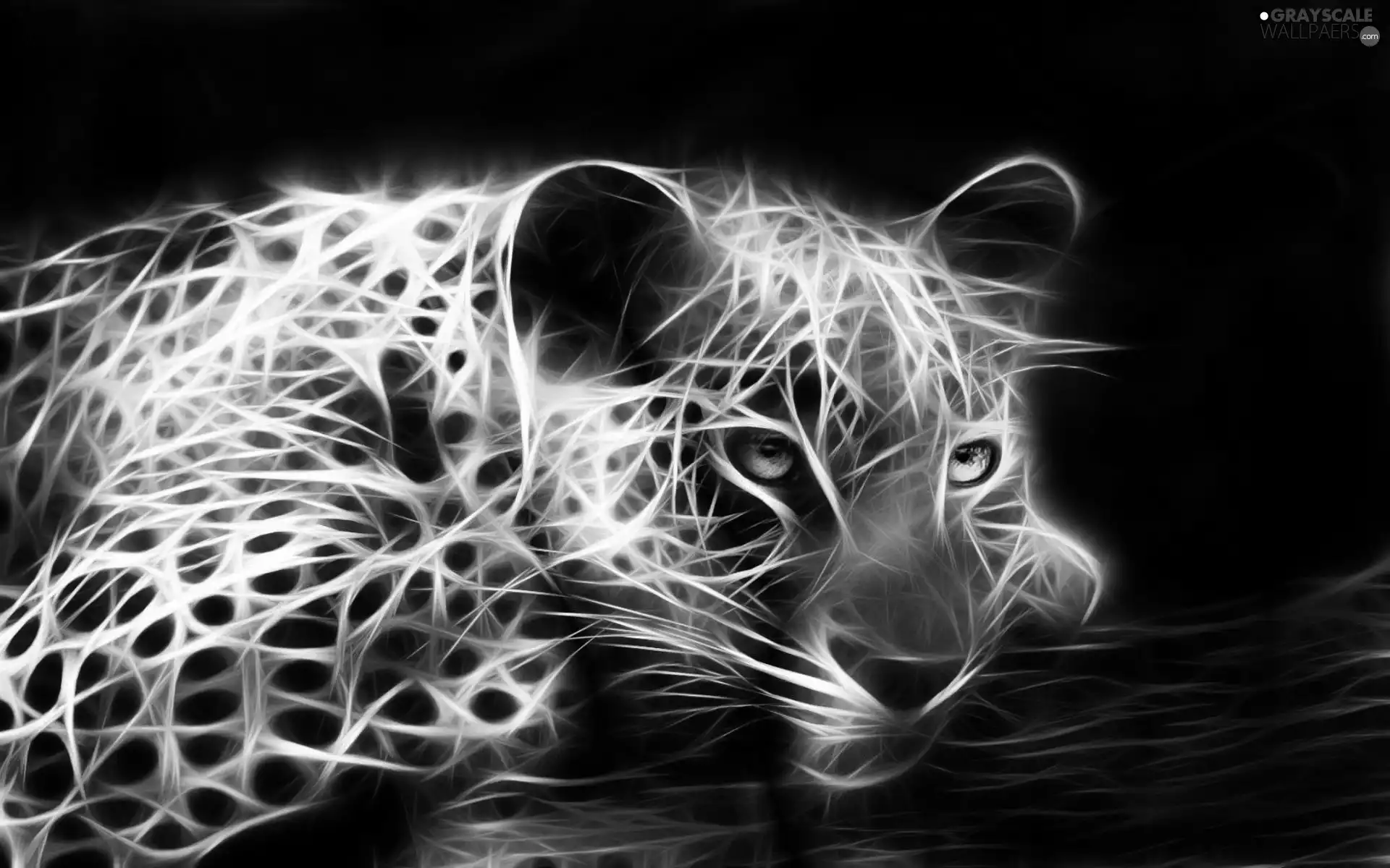 color, Fractalius, graphics, Jaguar