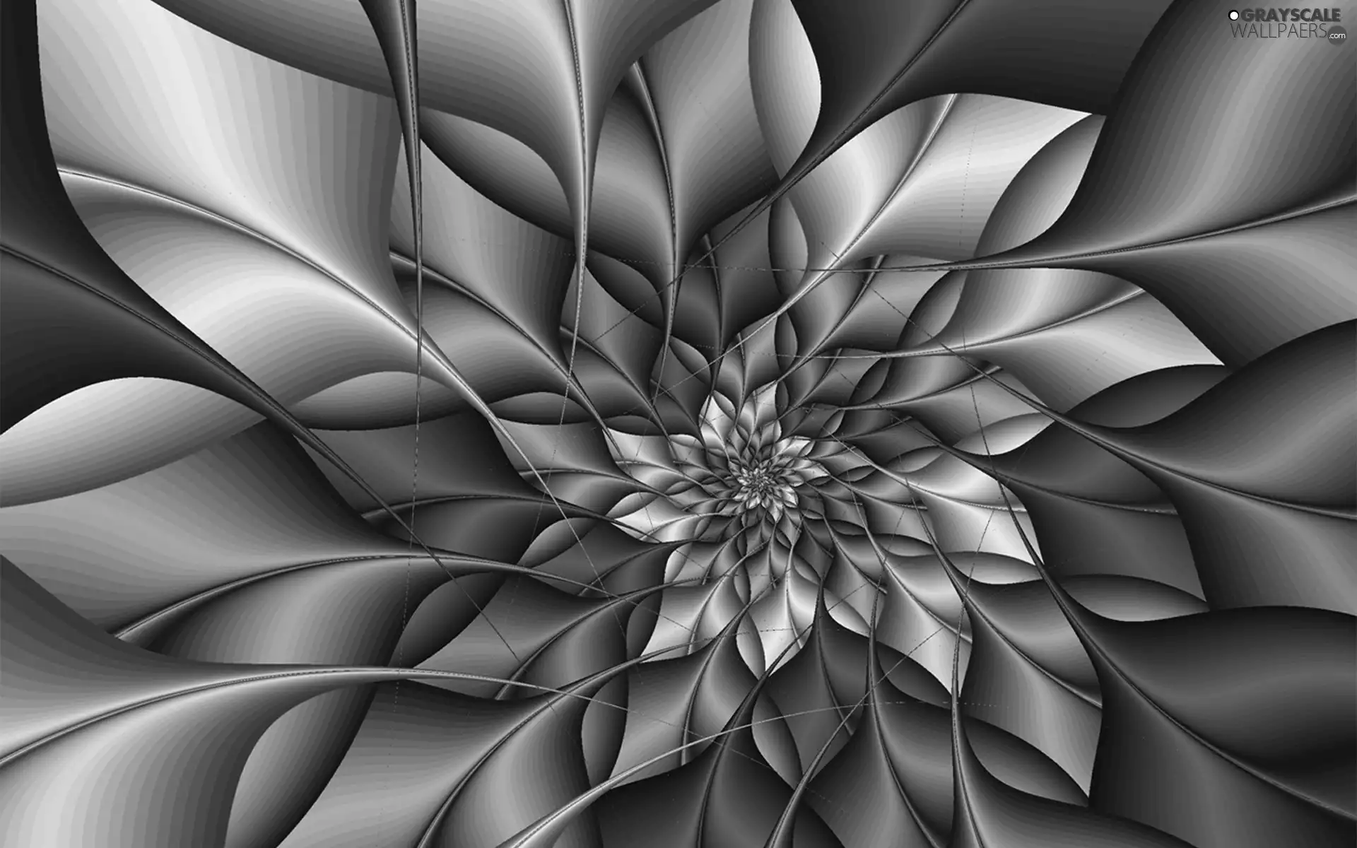 color, 3D, graphics, Colourfull Flowers