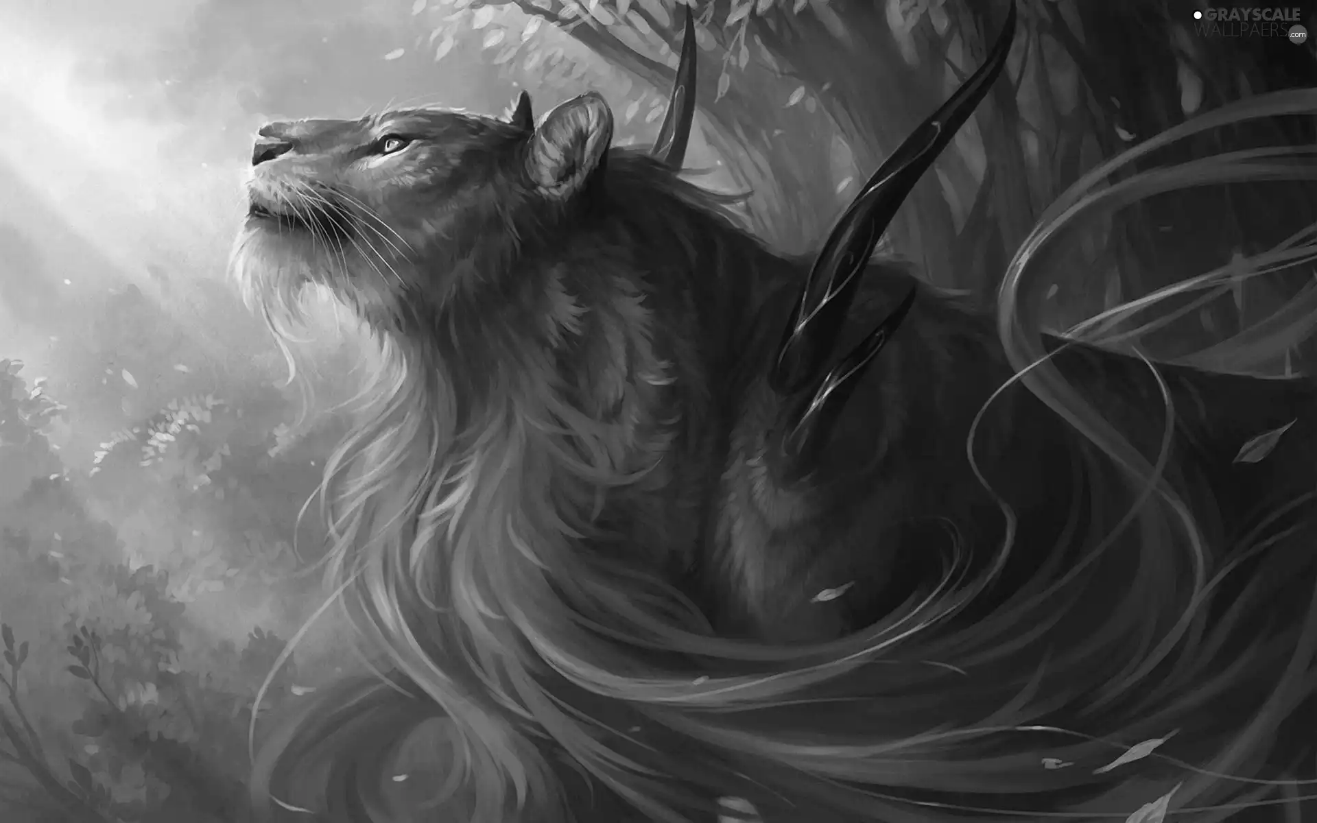 graphics, Lion, fantasy