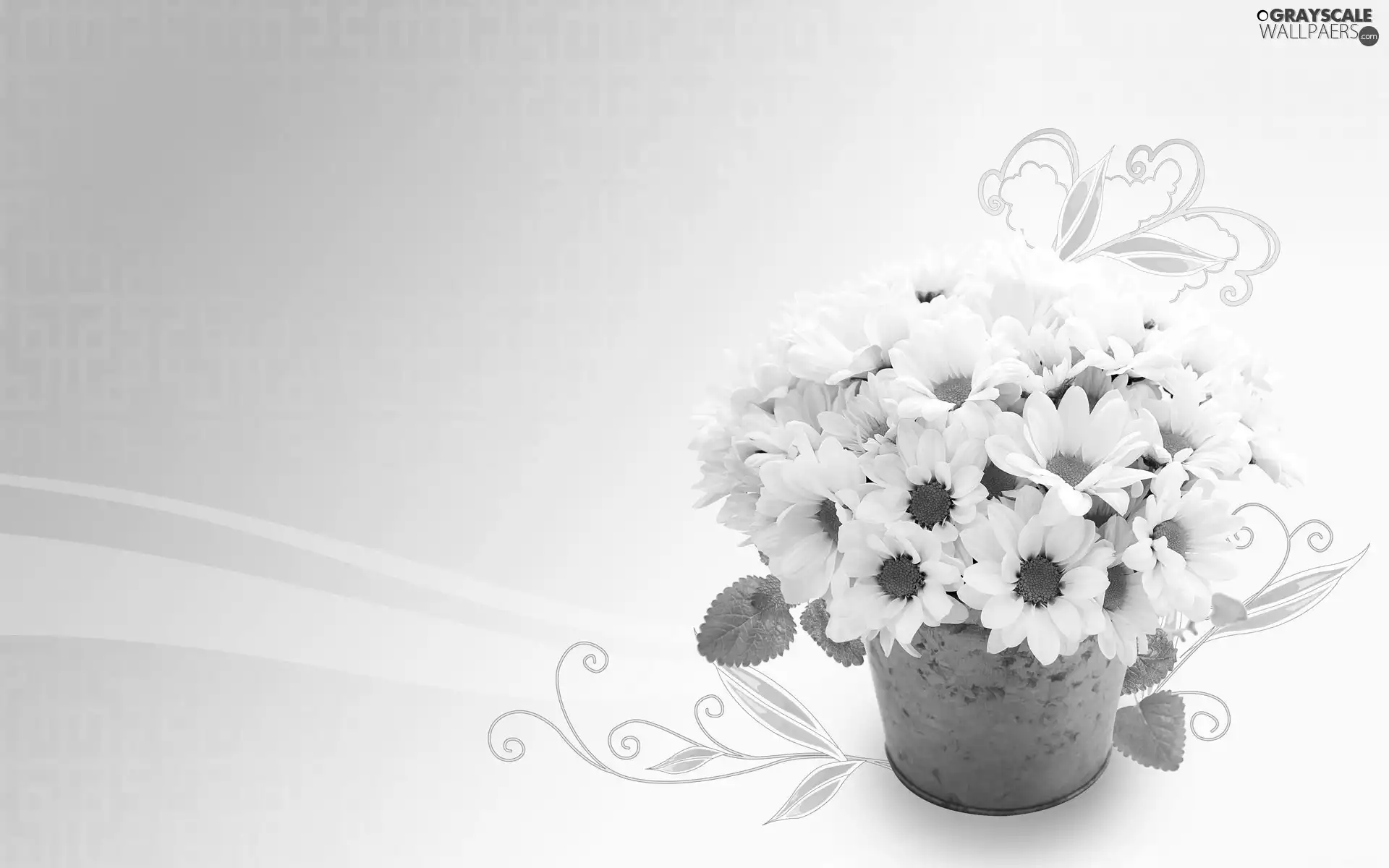 graphics, White, flowers