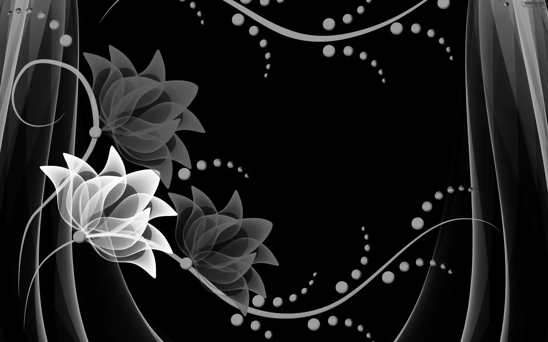 Flowers, graphics