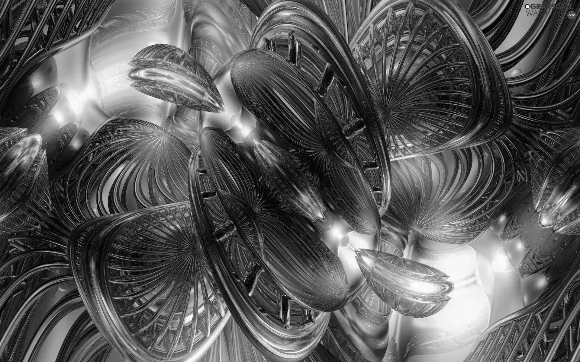 graphics, abstraction, Fraktal