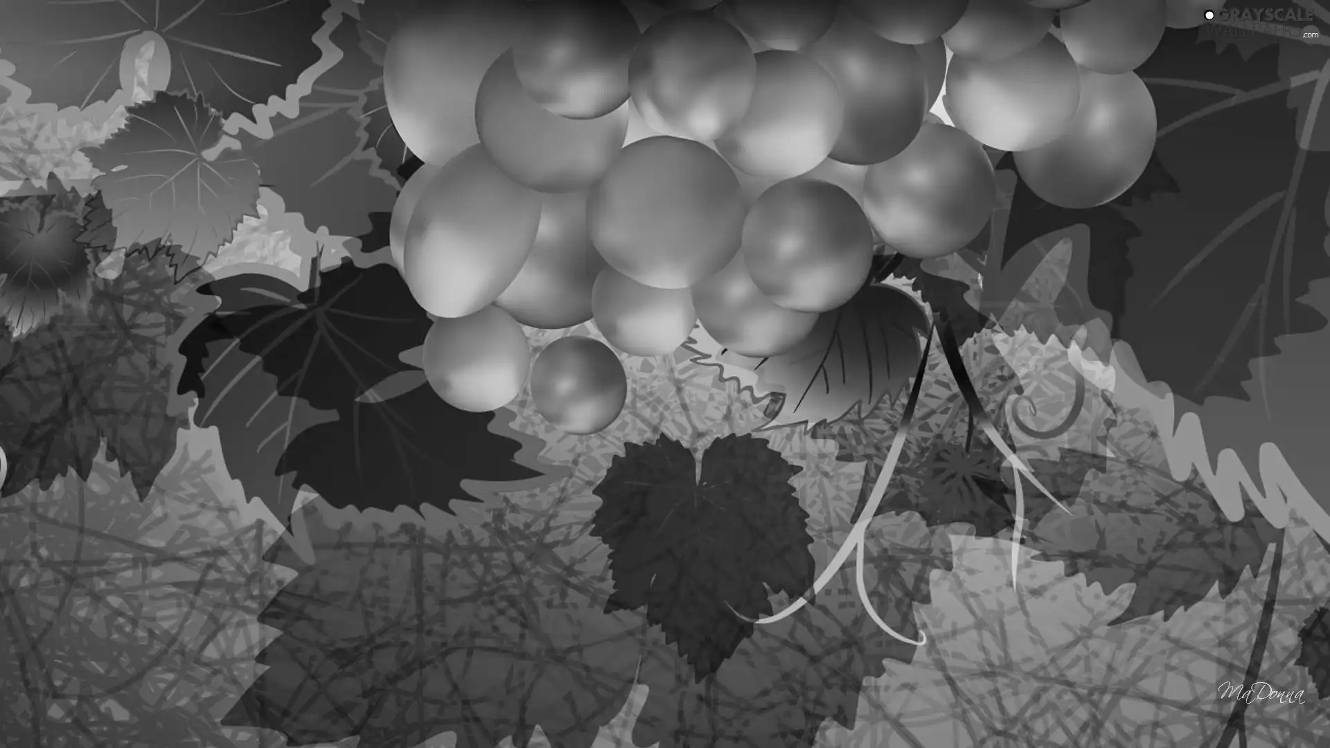 Grapes, Leaf, graphics, spray