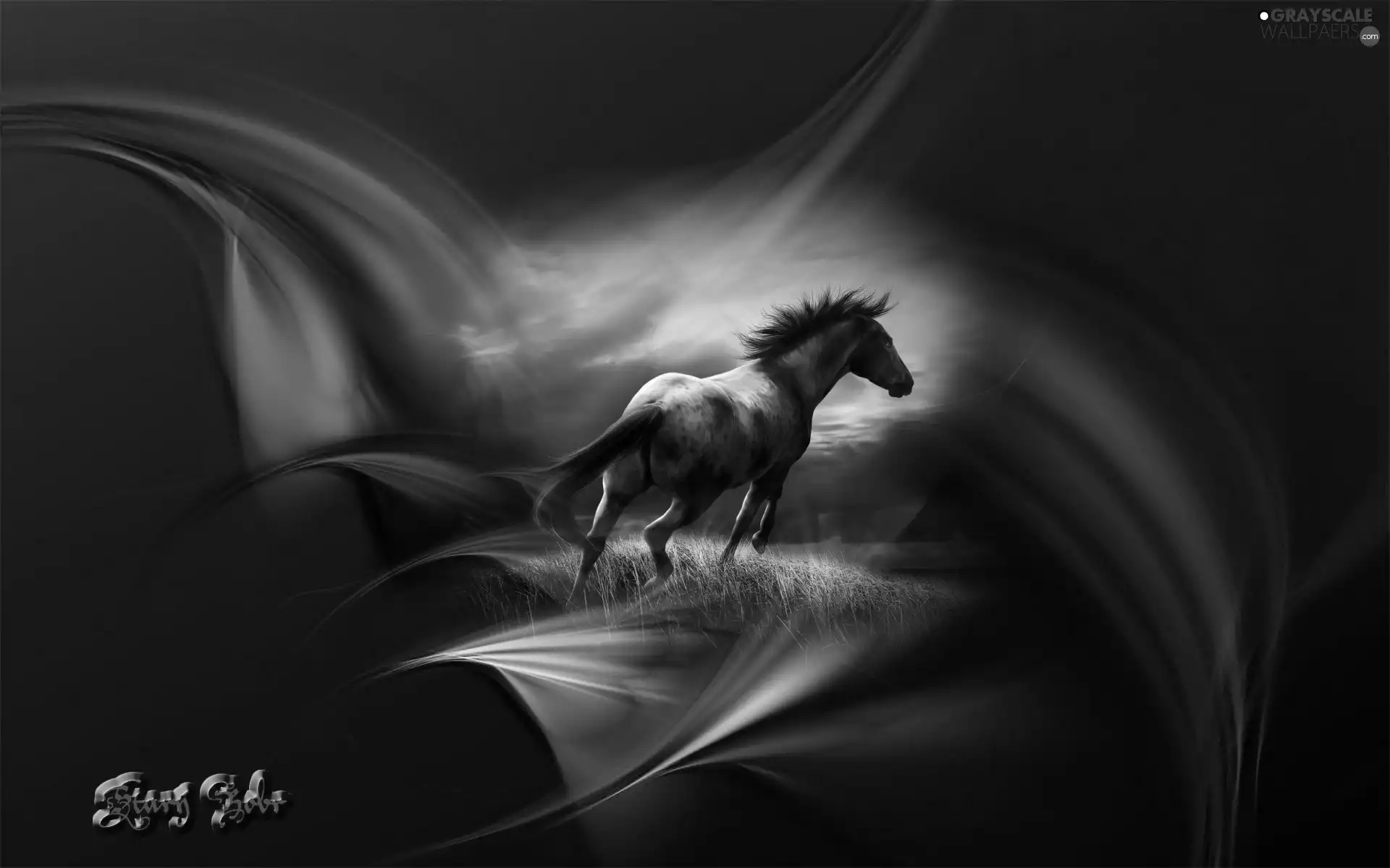 Horse, graphics