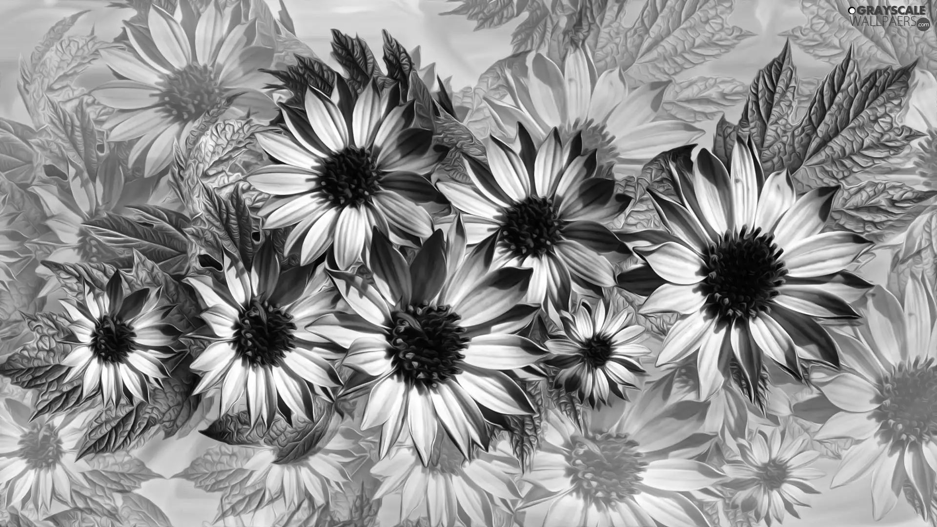 graphics, Flowers, Leaf