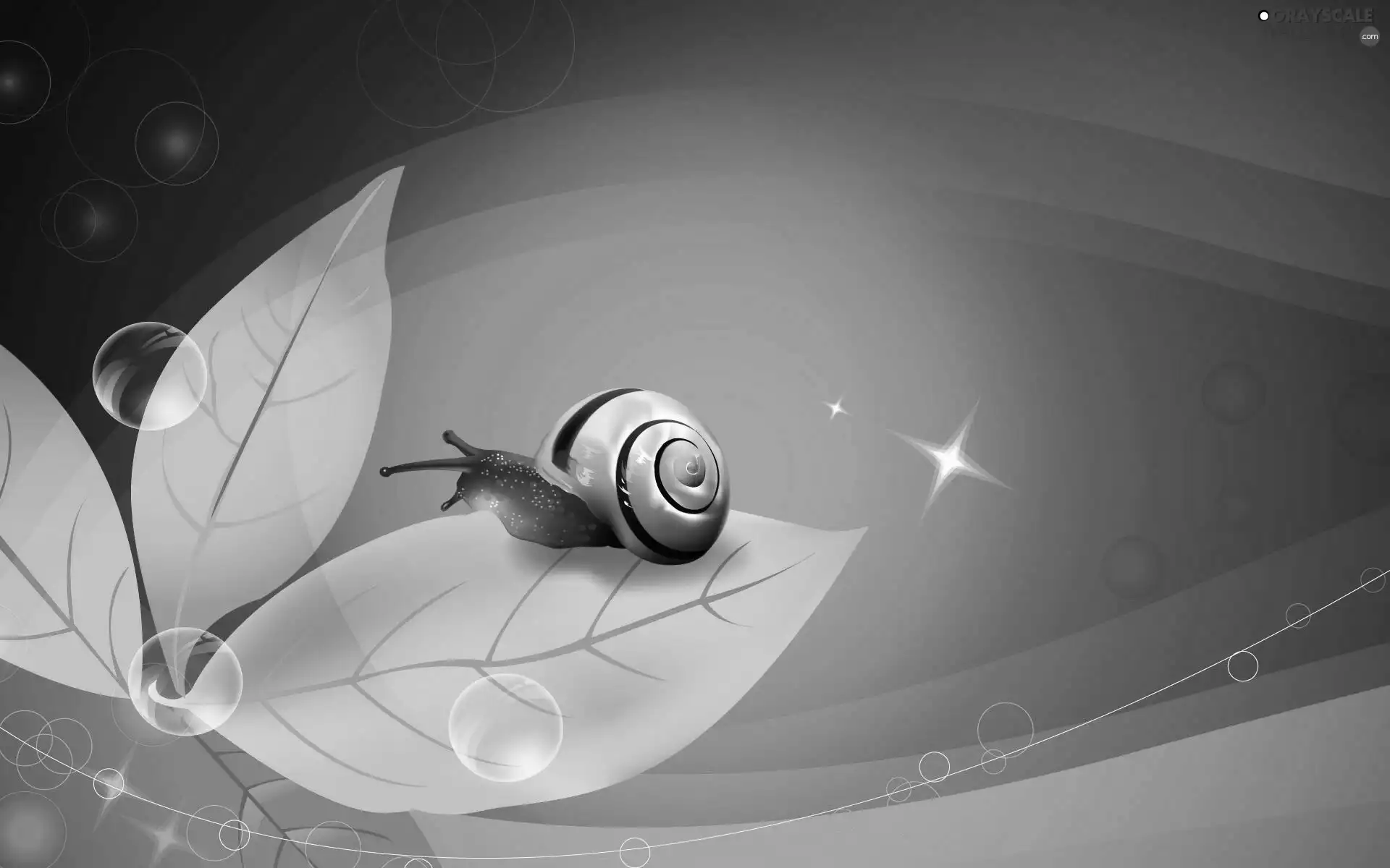 graphics, snail, leaf