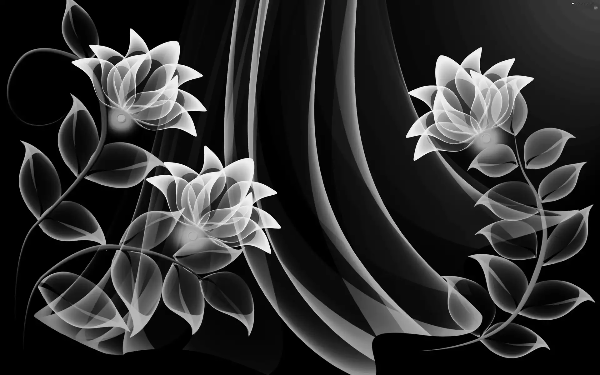 neon, Flowers, graphics, White