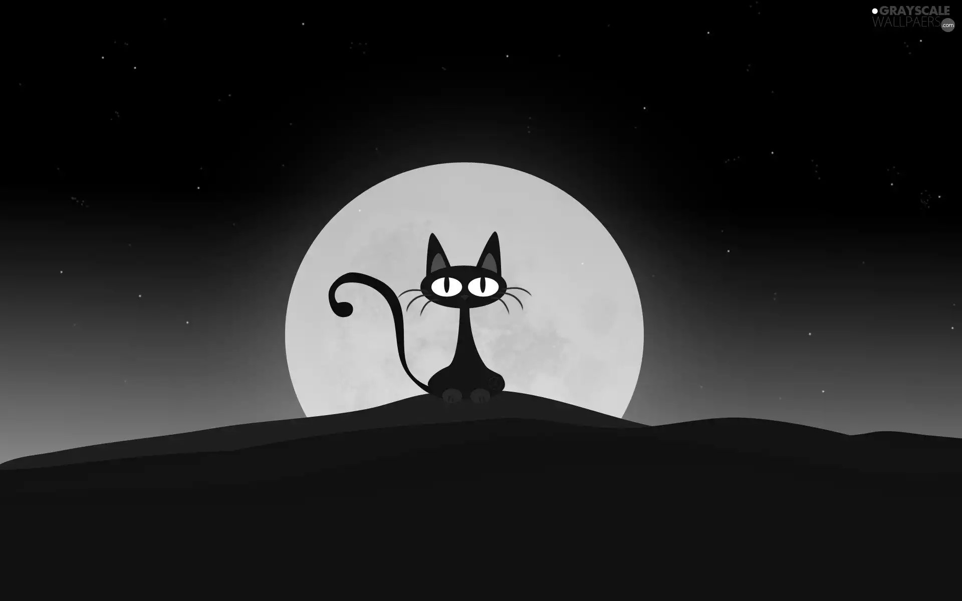 graphics, cat, Night