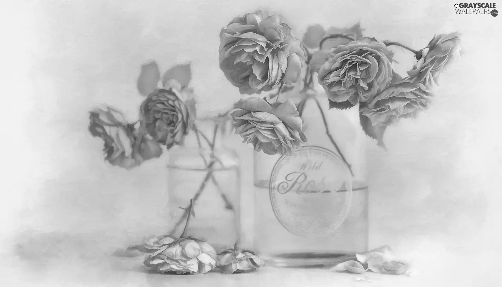 roses, Flowers, dishes, graphics, glass, Pink