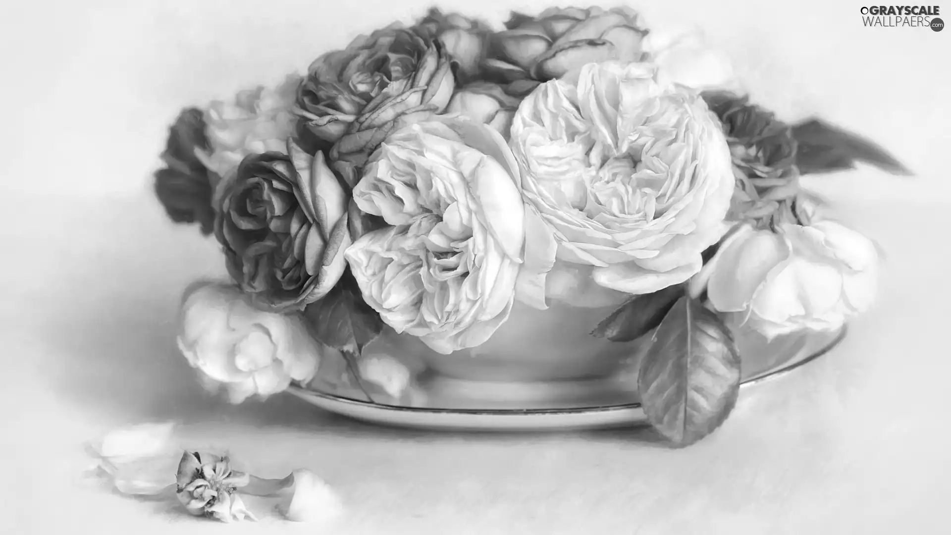 roses, White, Stand, graphics, bowl, Red