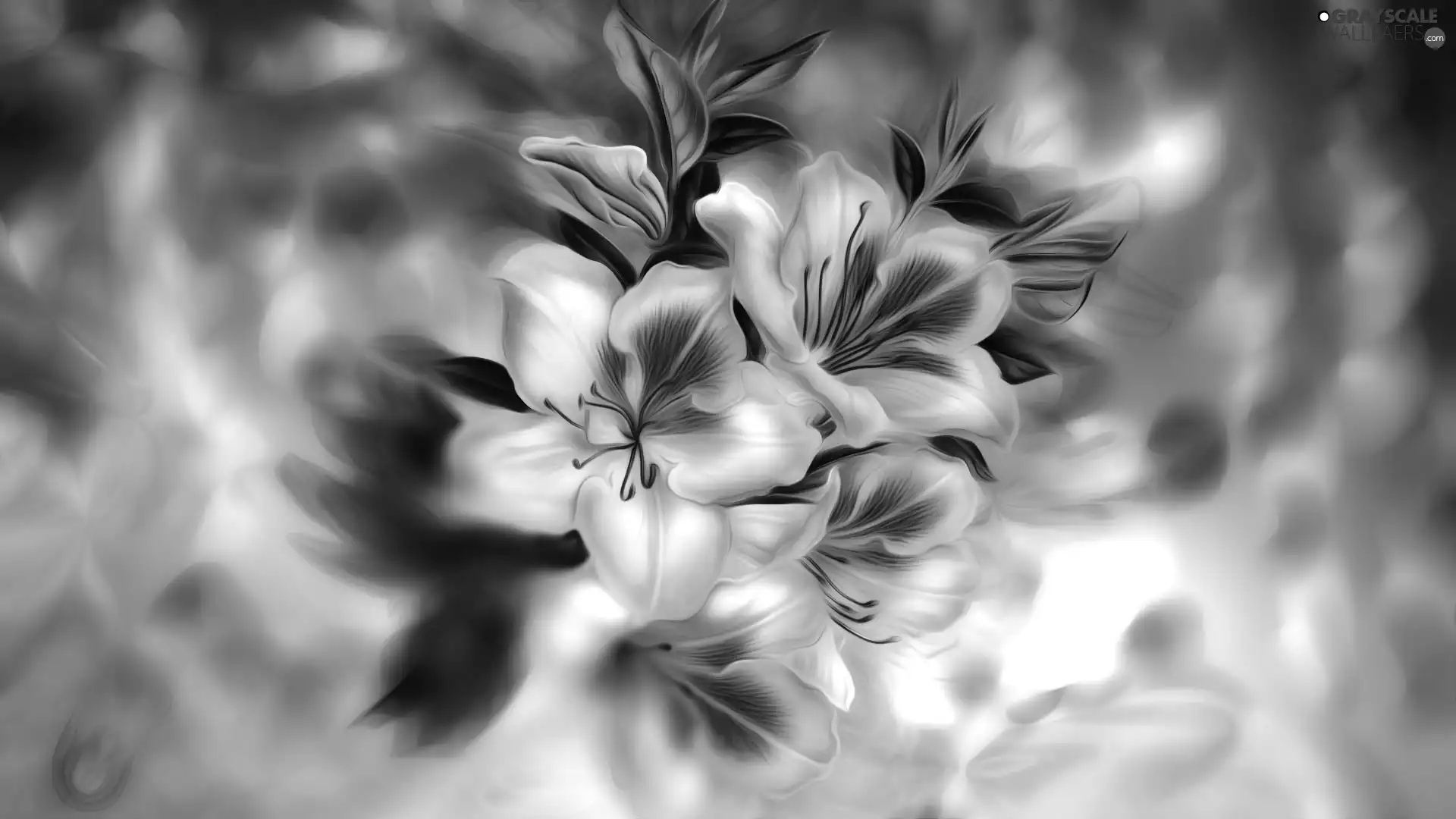 graphics, Flowers, rhododendron