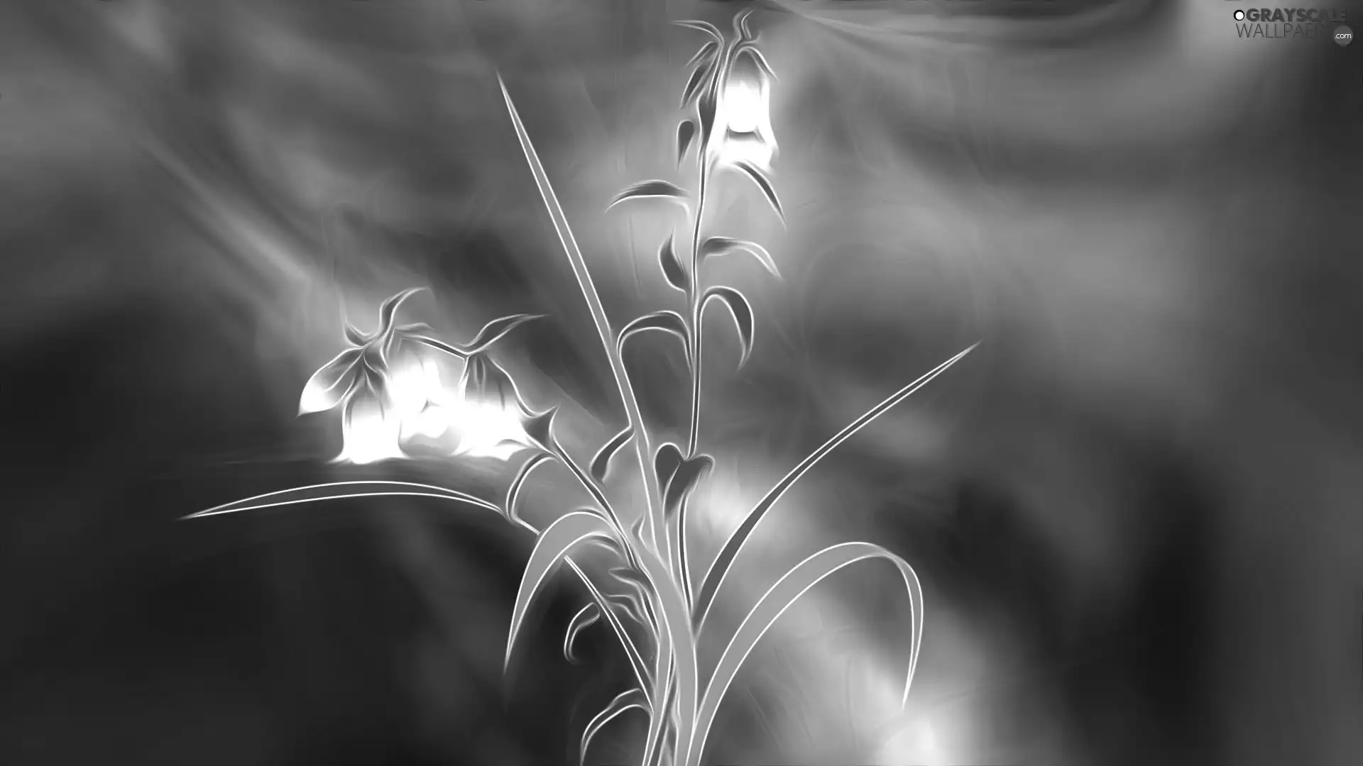 graphics, Flowers, ringtones