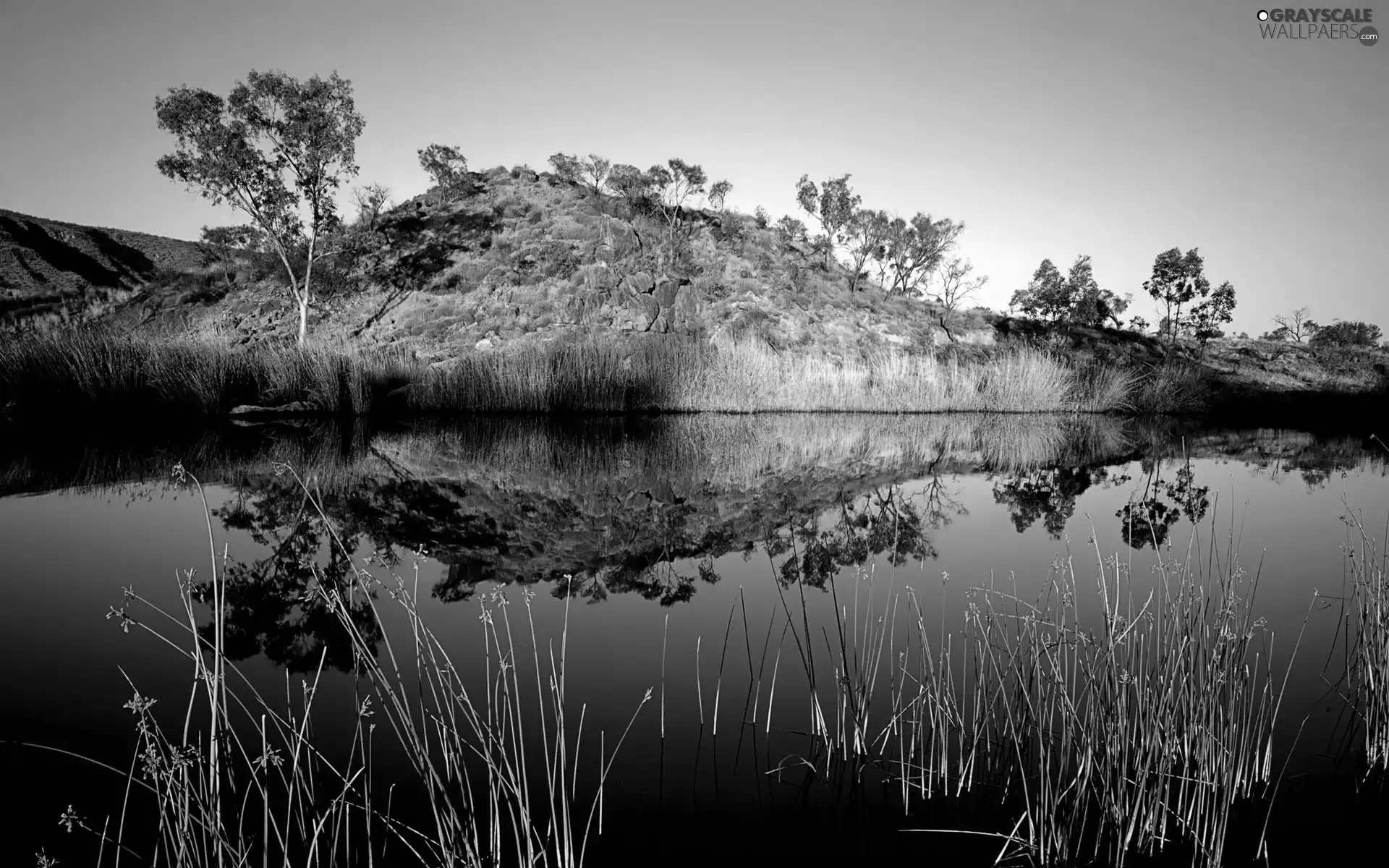 Australia, hill, grass, water