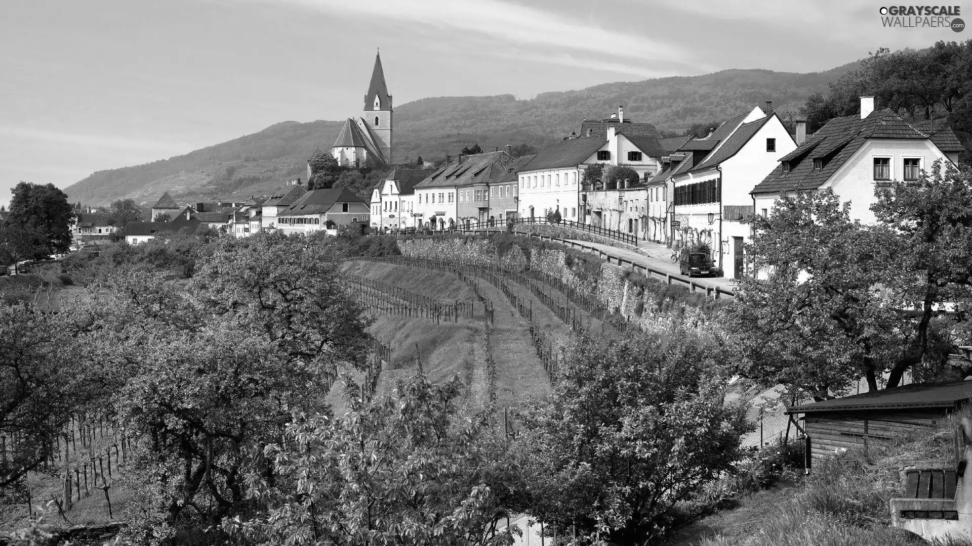 trees, Church, grass, Austria, viewes, Houses