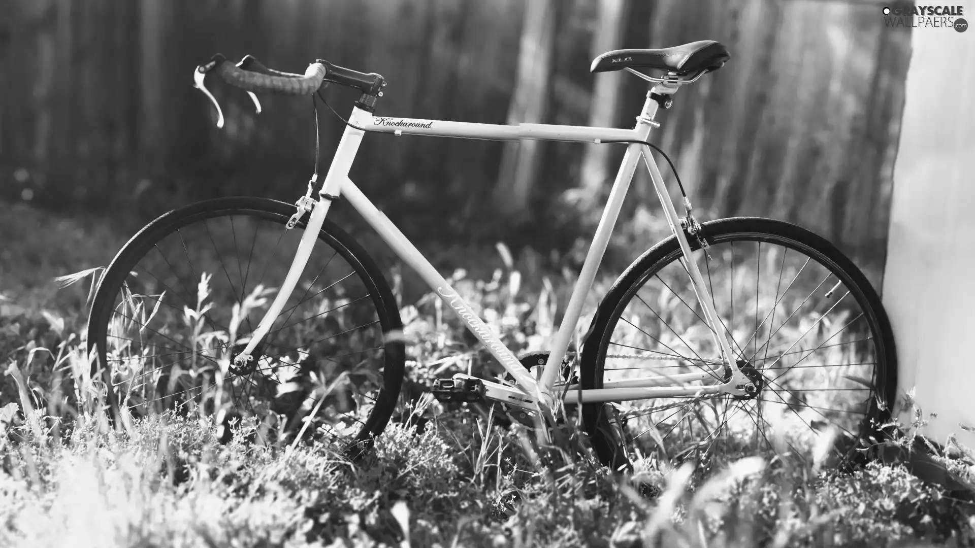 Bike, grass