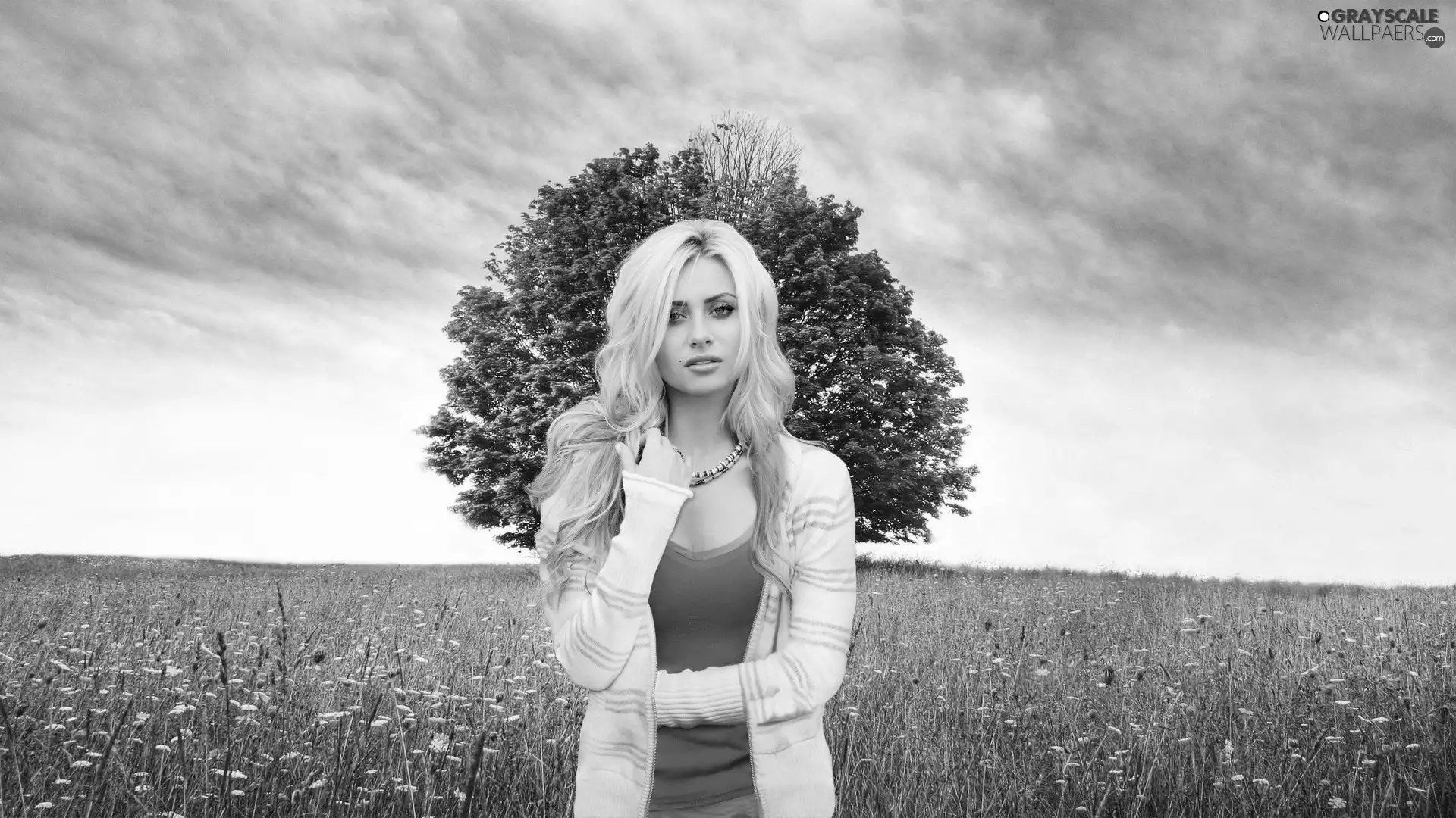 Blonde, Flowers, grass, Meadow