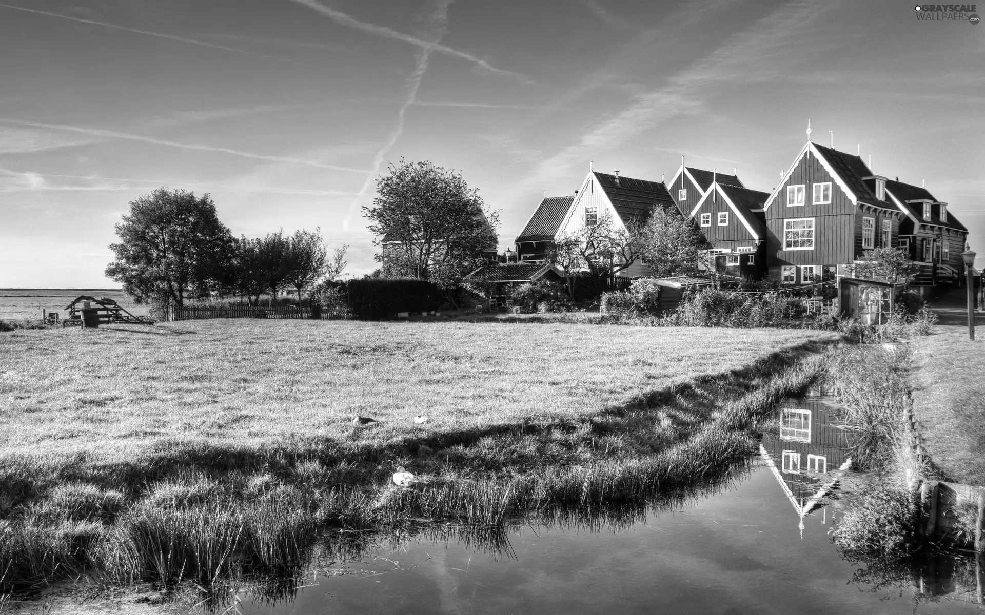 grass, brook, medows, field, Houses