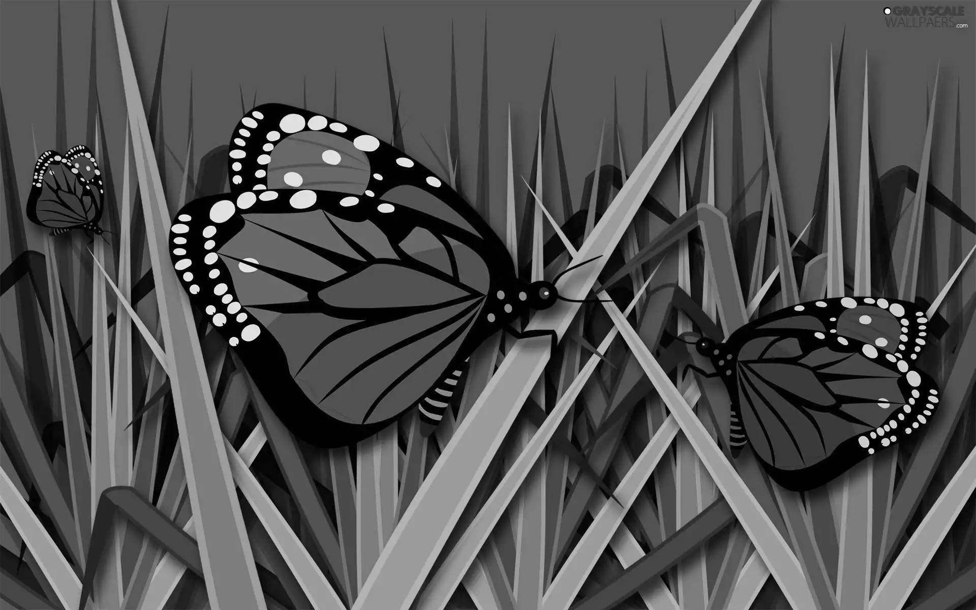 grass, graphics, butterflies
