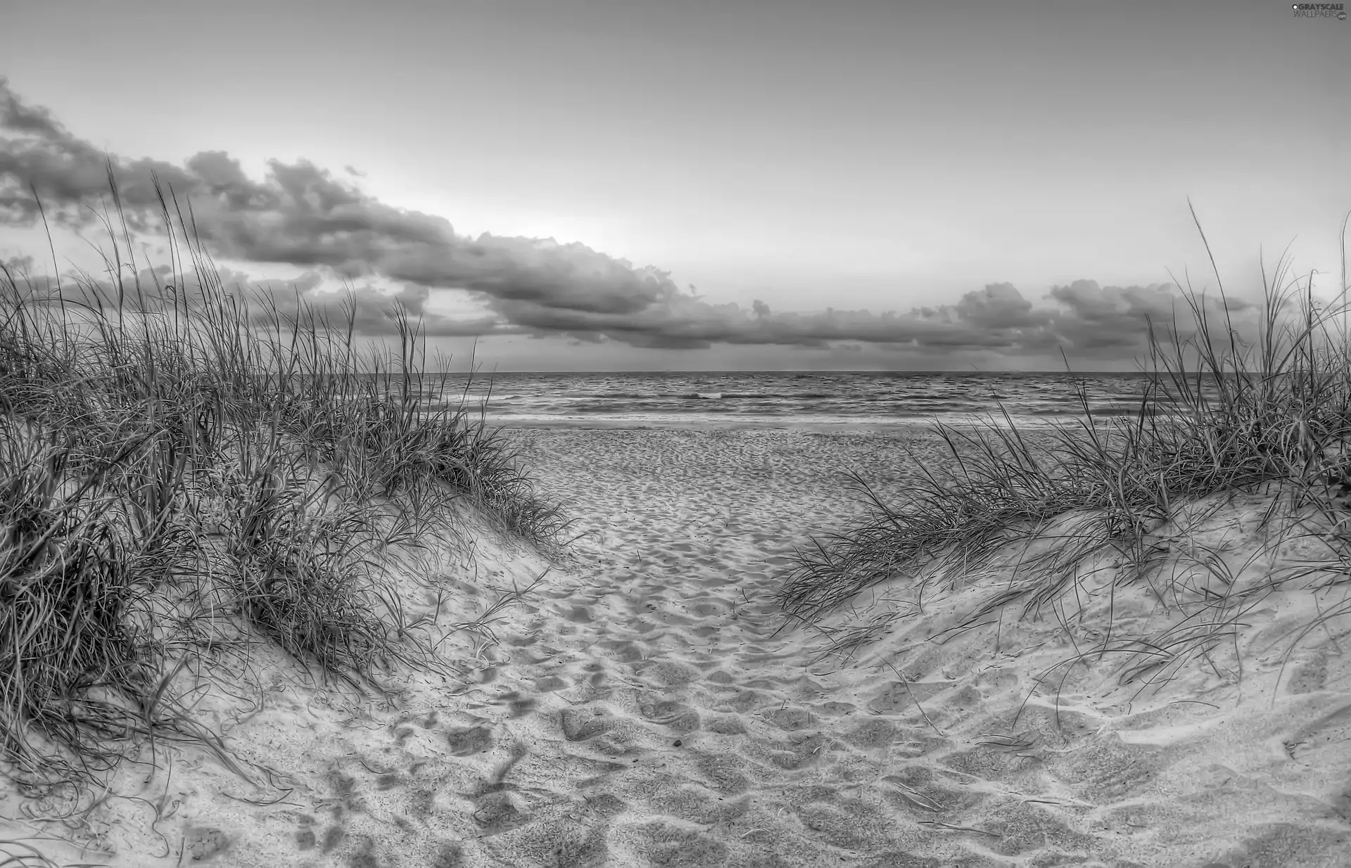 clouds, Beaches, grass, sea