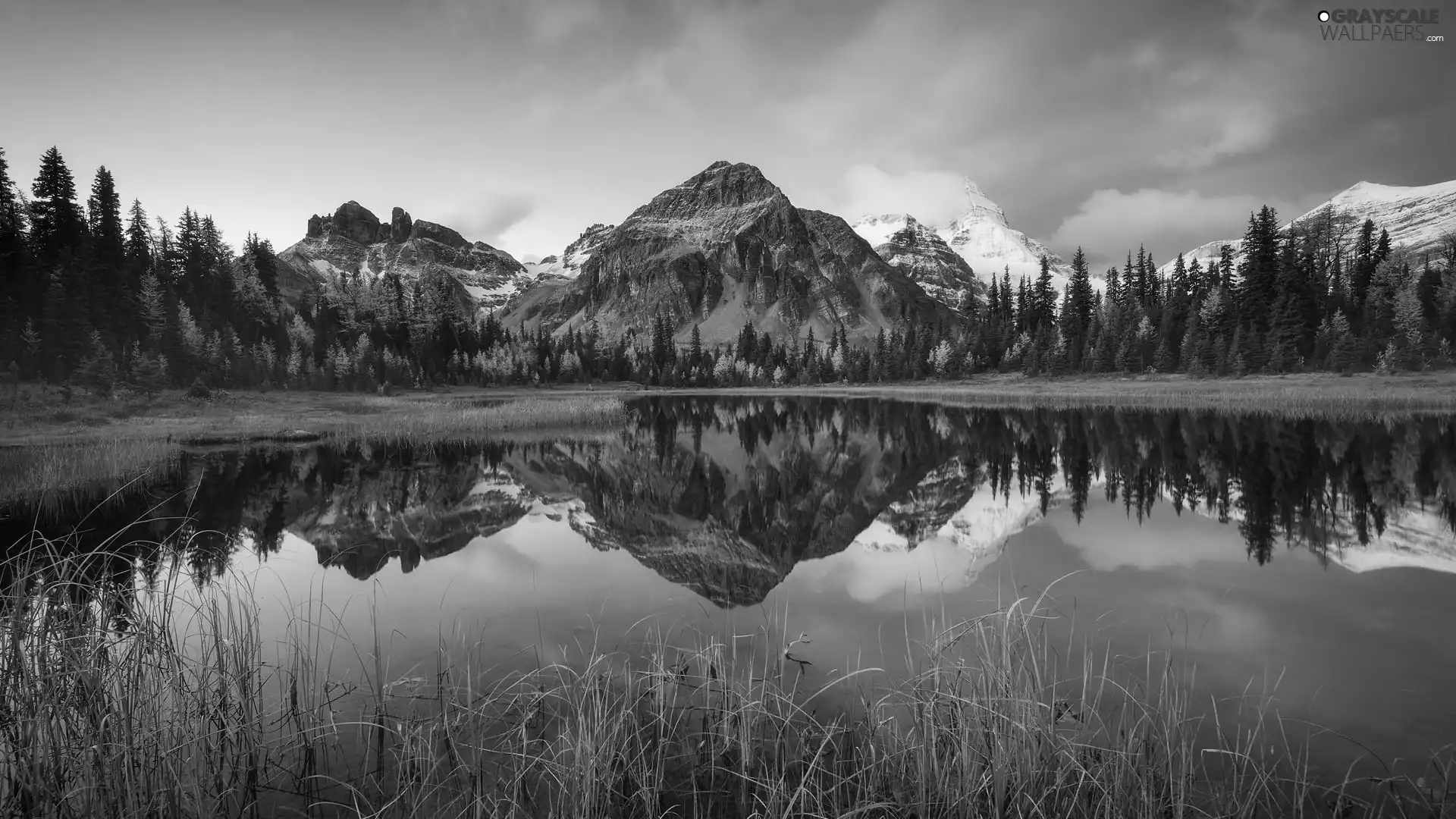 trees, lake, clouds, grass, Mountains, viewes, reflection