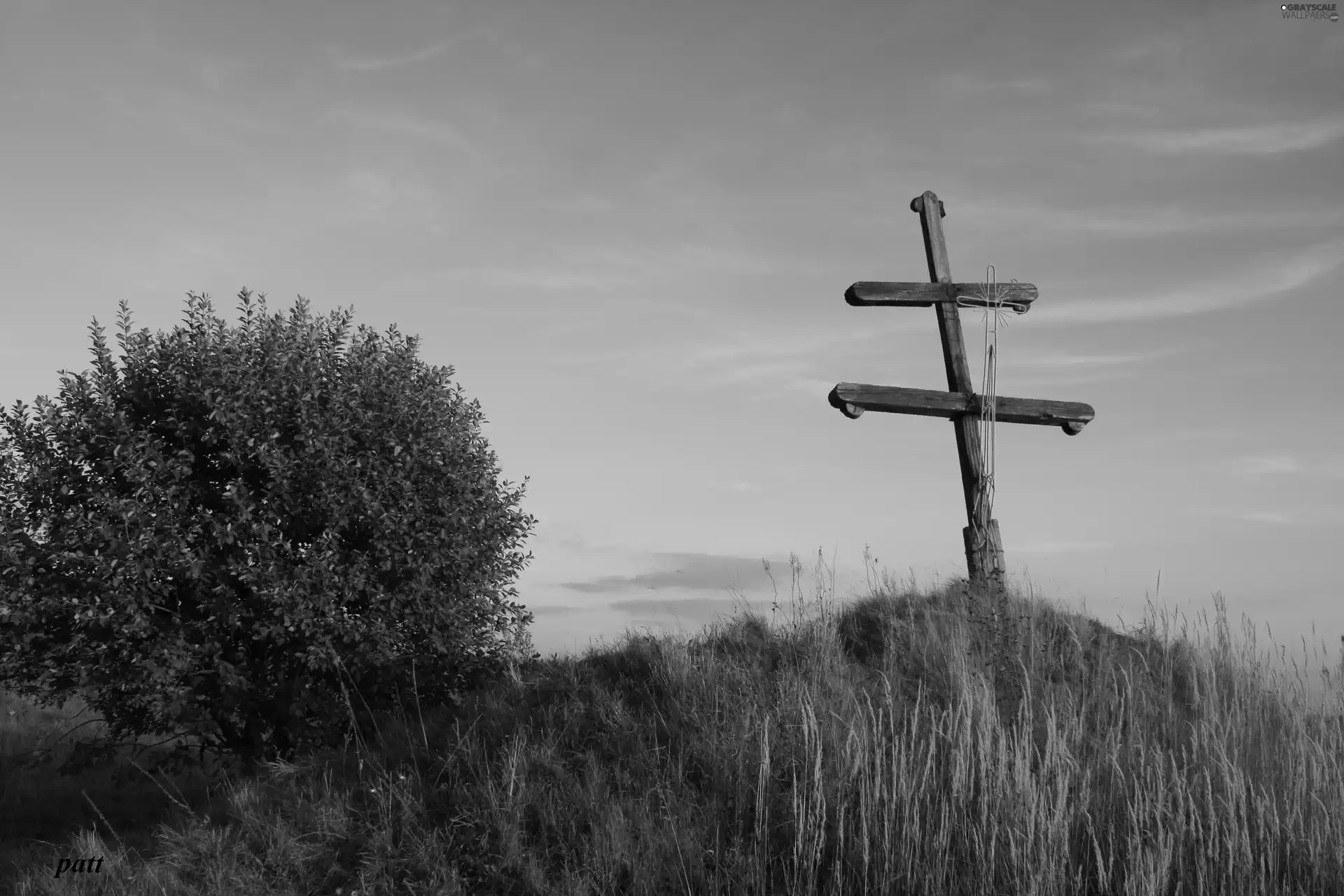 grass, wayside, Cross