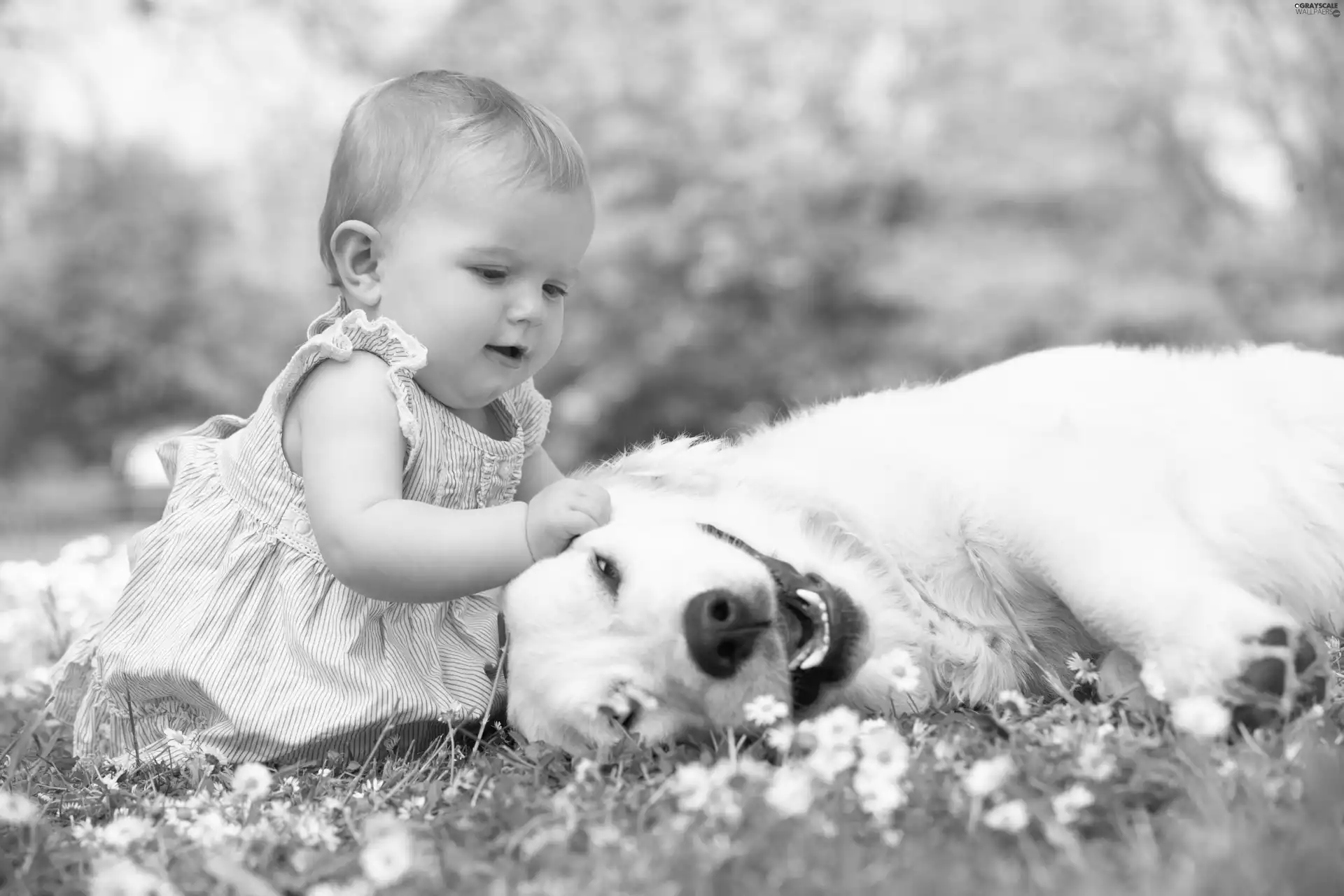 grass, girl, dog