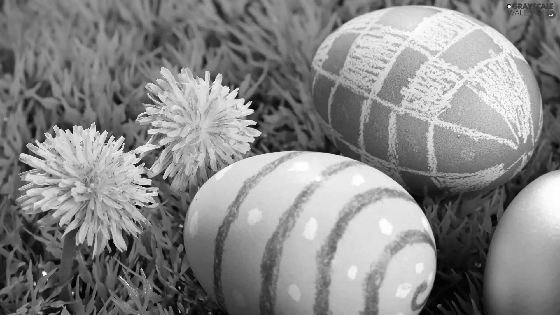 Easter, puffball, grass, eggs