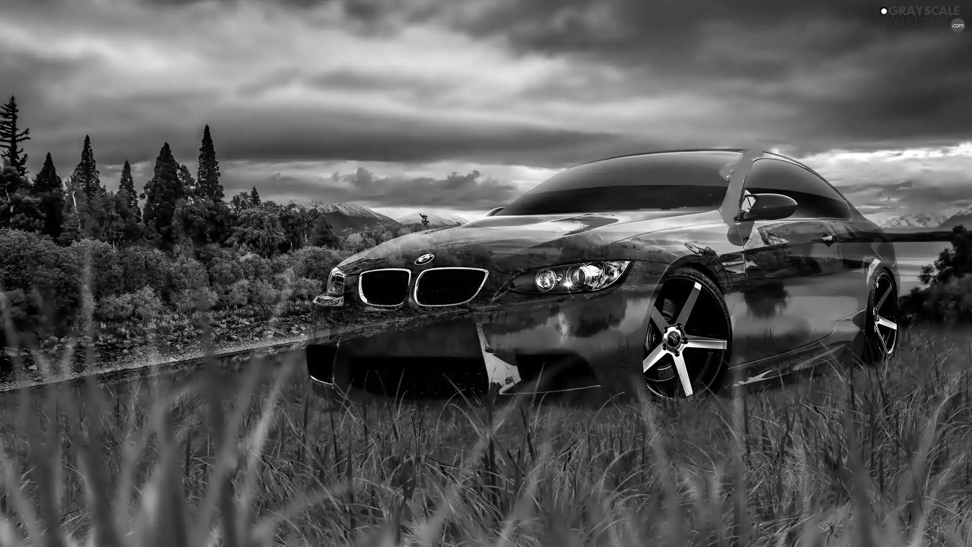 fantasy, BMW, grass, Automobile