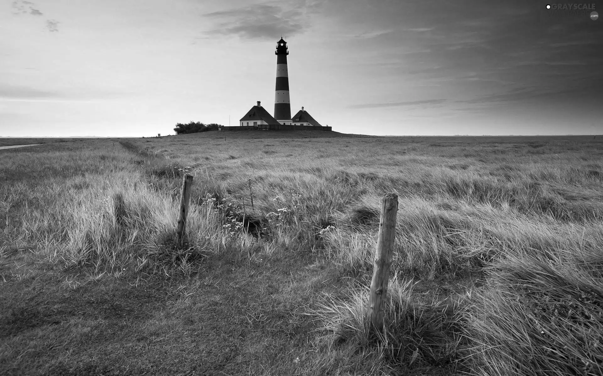 grass, Lighthouses, Field