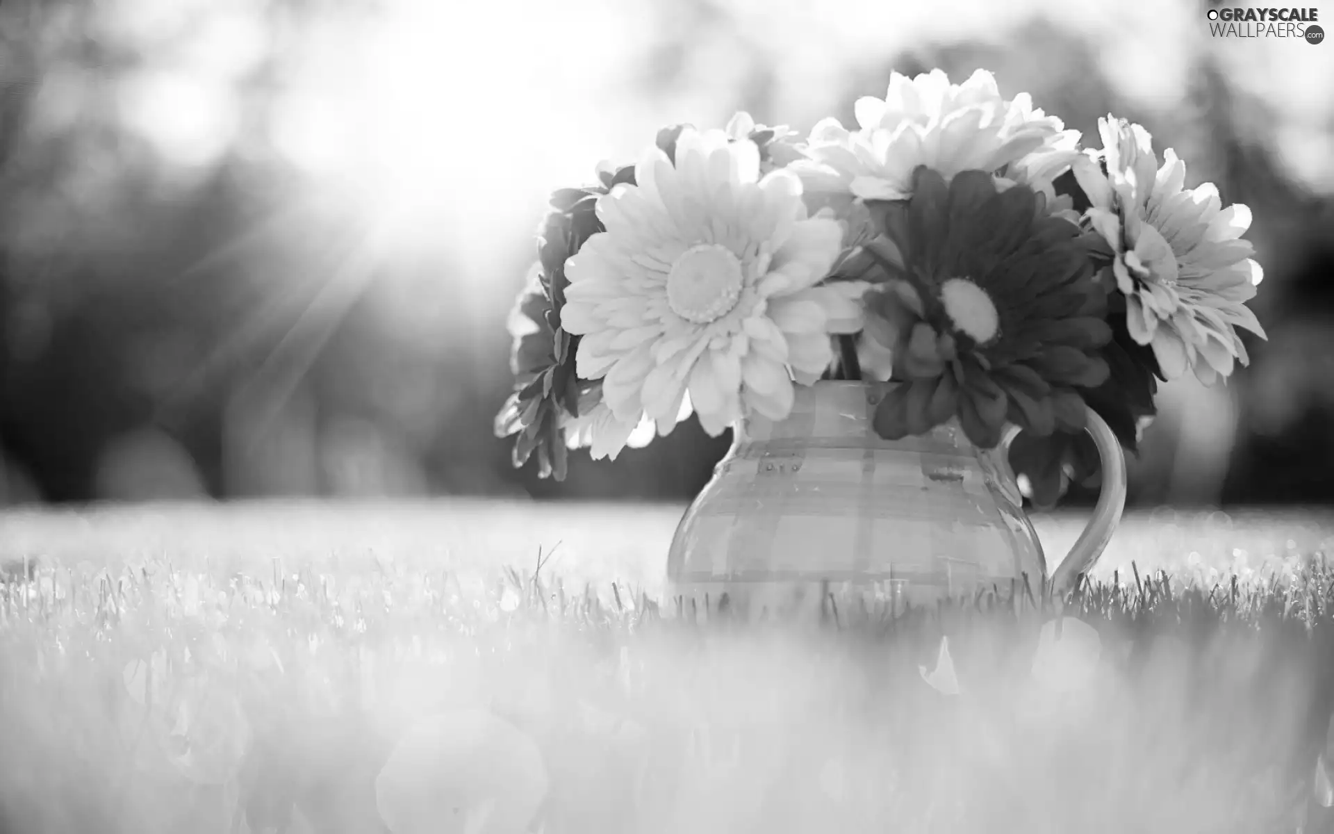 Flowers, jug, grass, gerberas