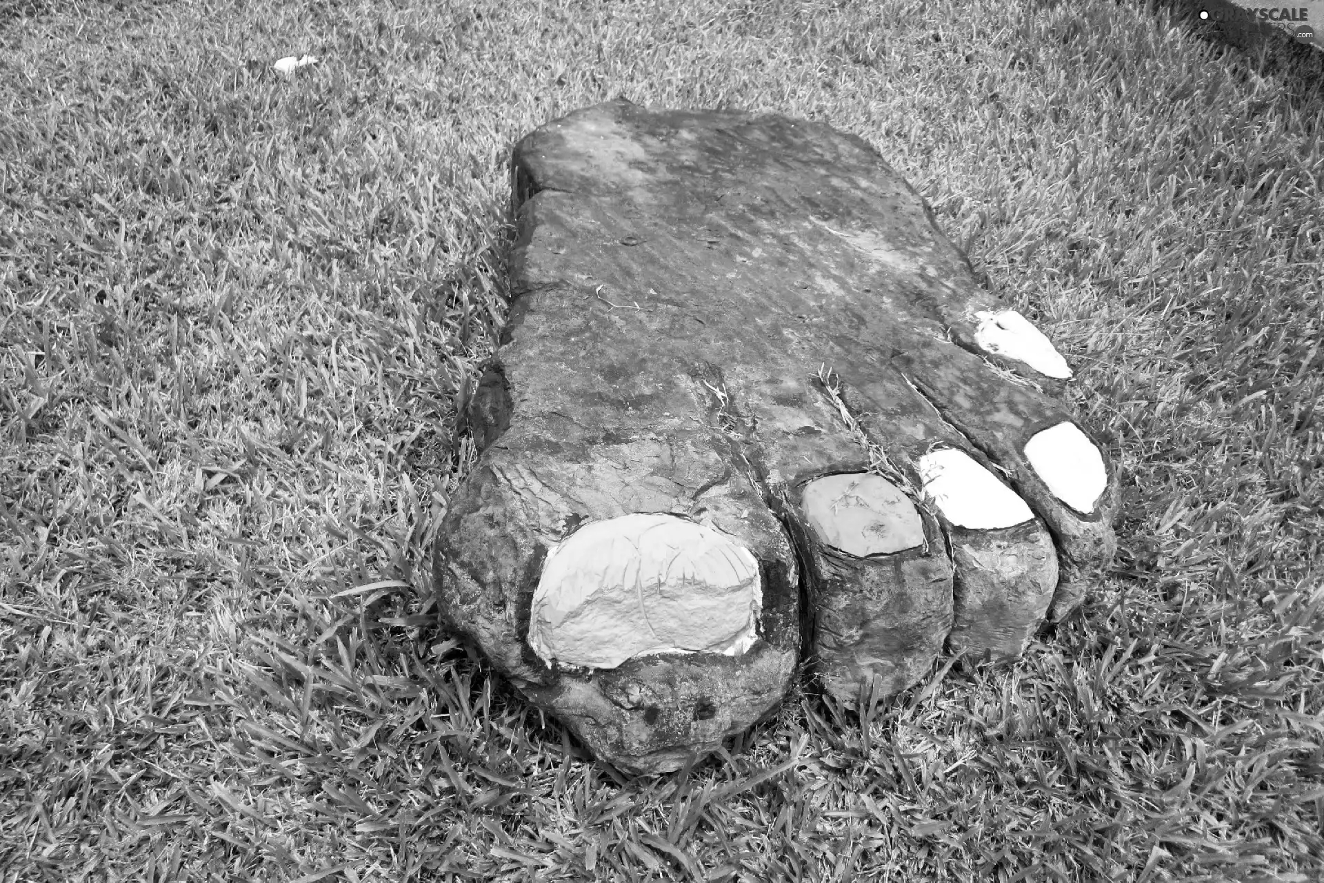 grass, Stone, foot