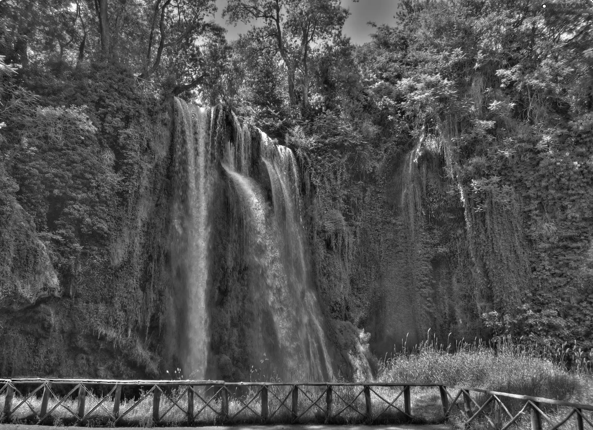 grass, waterfall, forest