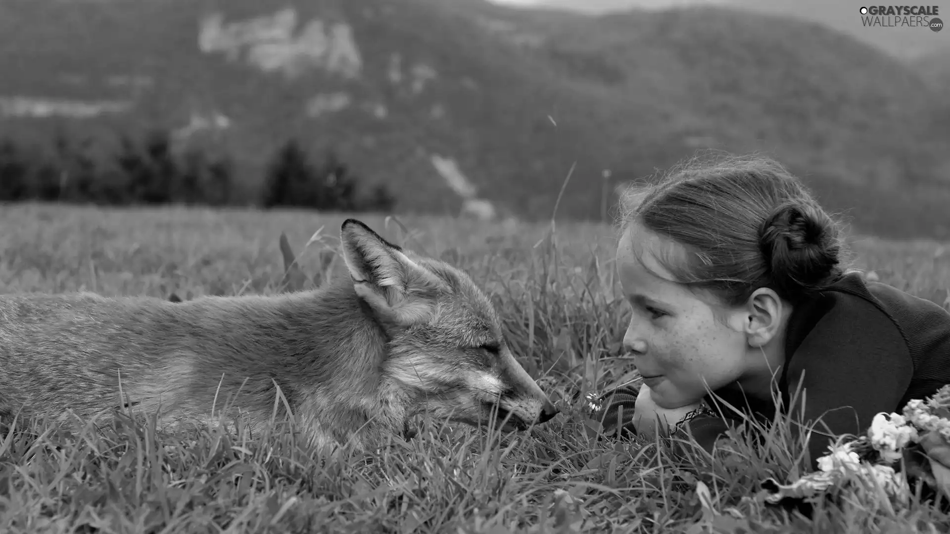 grass, girl, fox