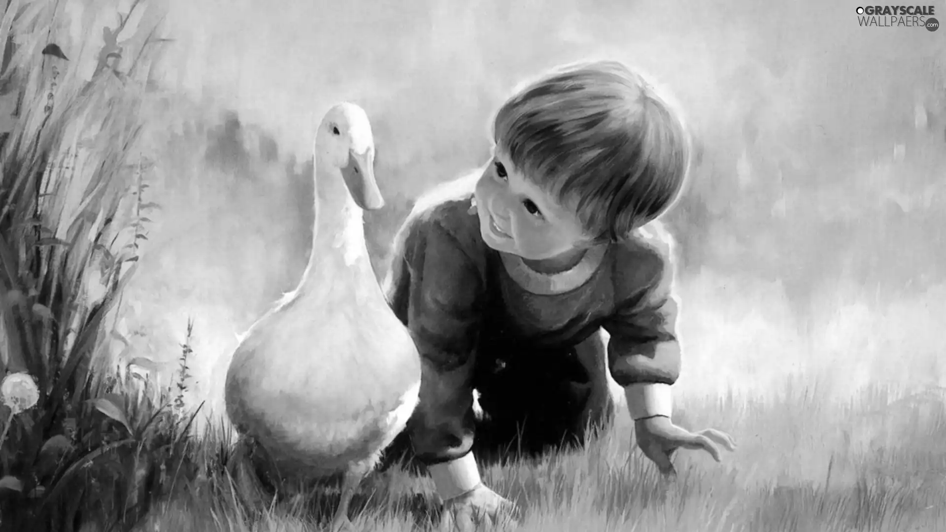 grass, boy, goose