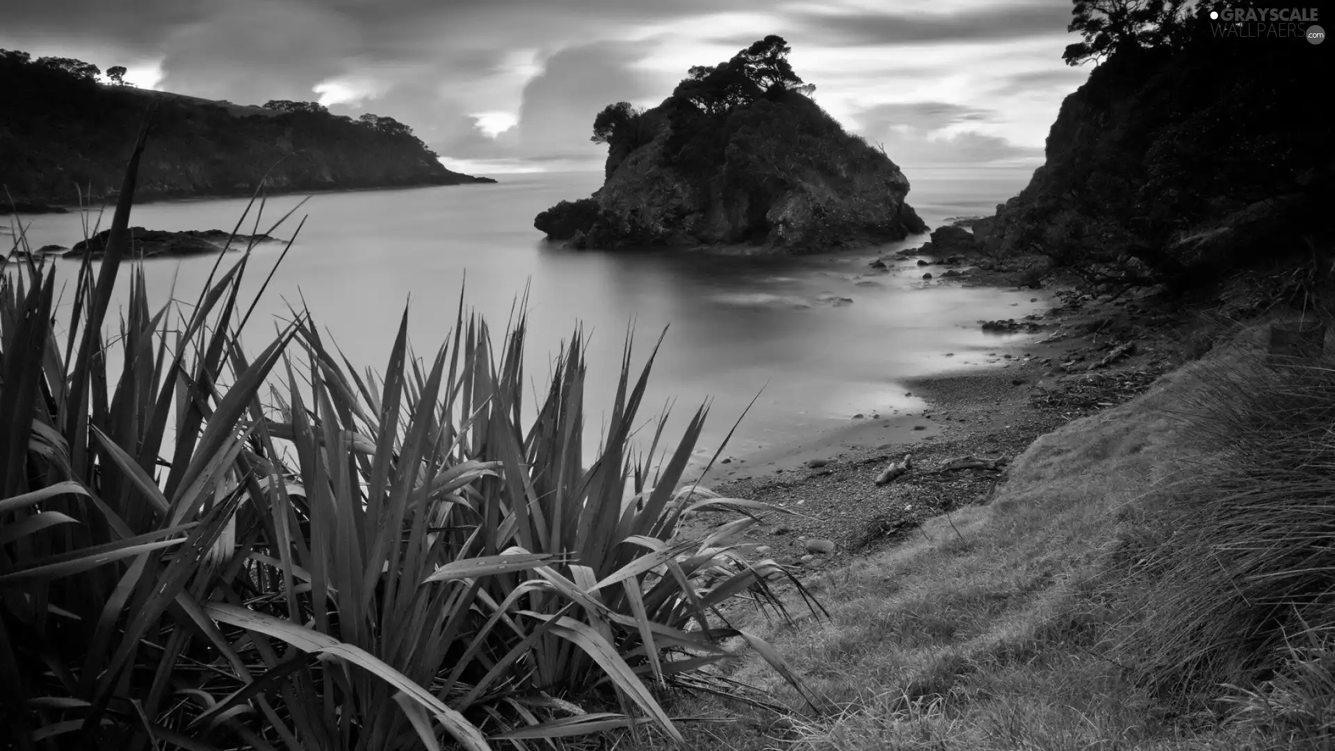 grass, lake, Islet