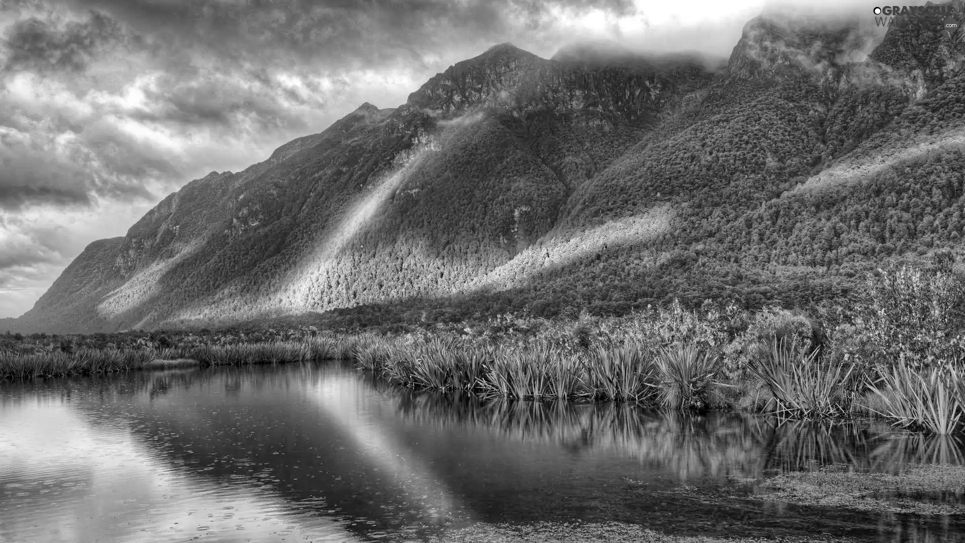 lake, Great Rainbows, grass, Mountains