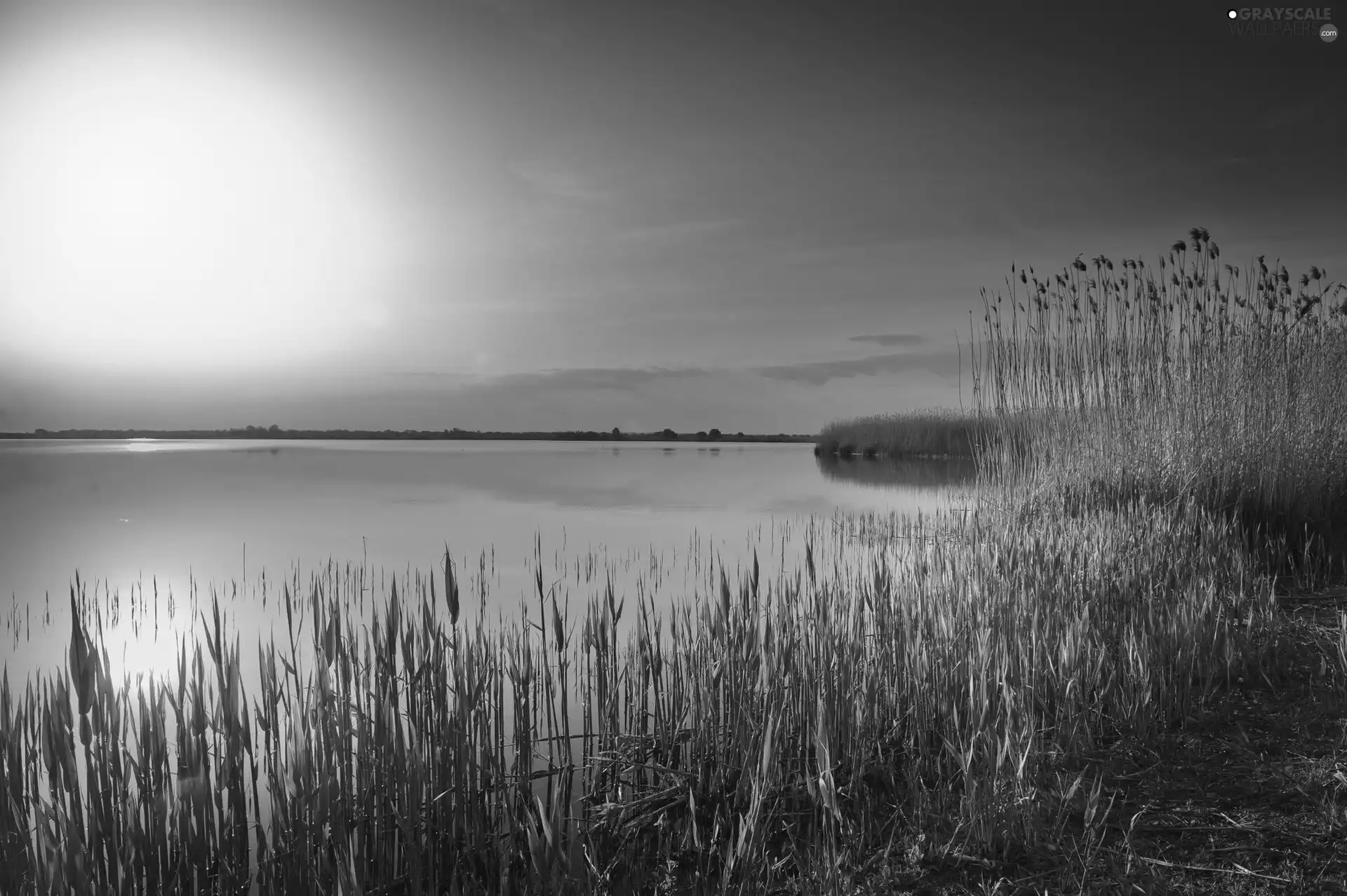 lake, sun, grass, west