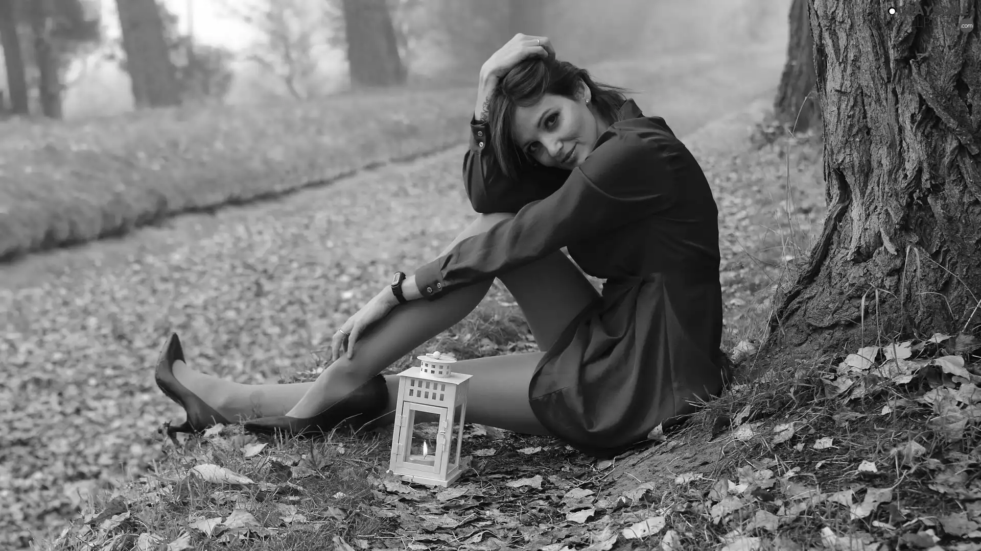 dress, Women, Leaf, red hot, sitting, trees, grass