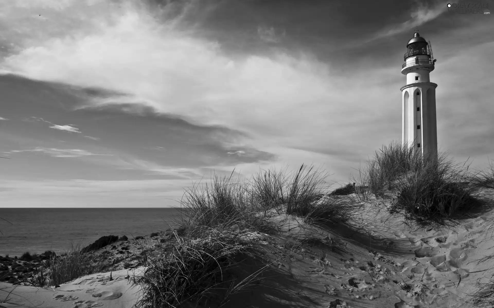 Lighthouse, Coast, grass, maritime