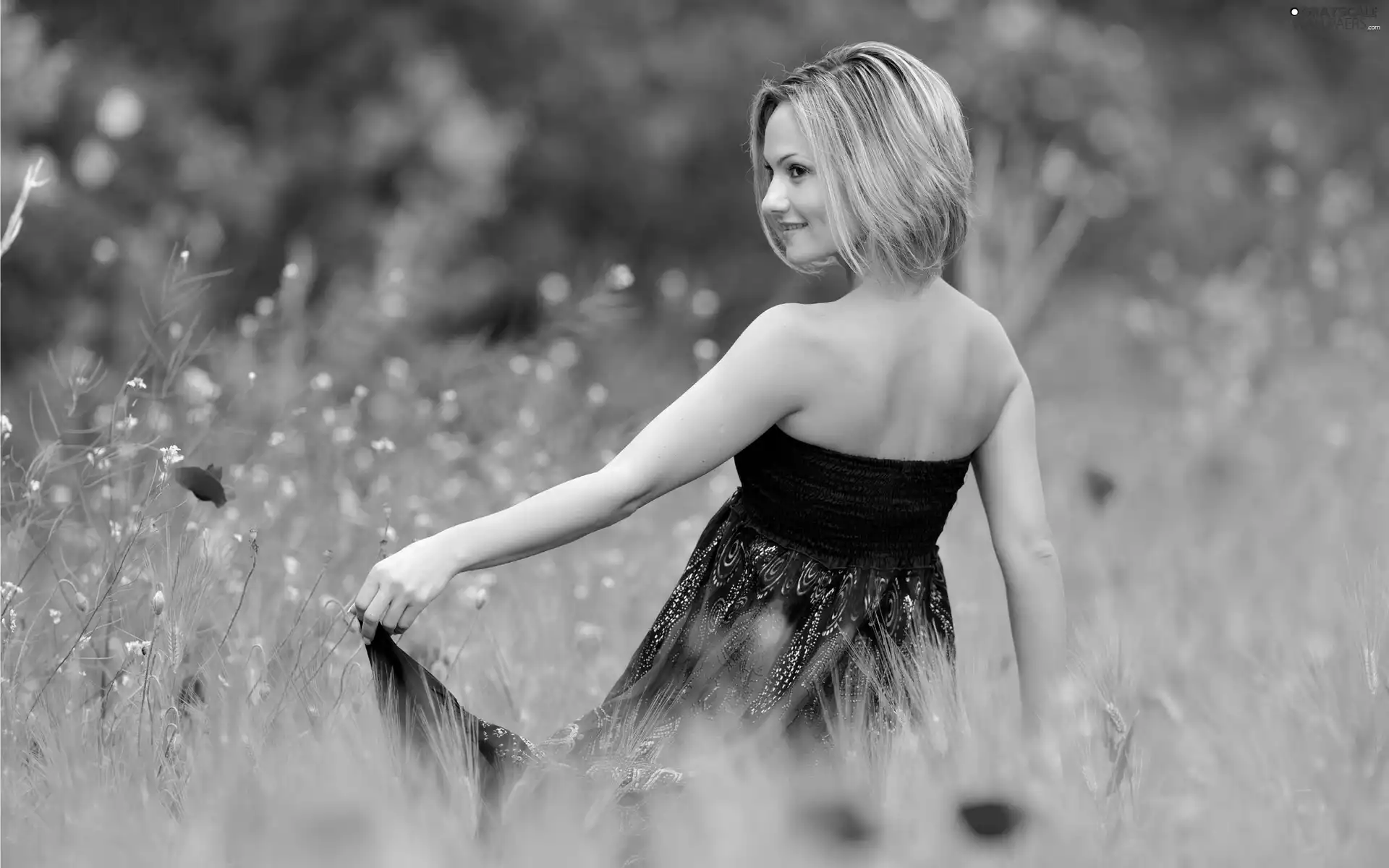 Meadow, papavers, grass, Women