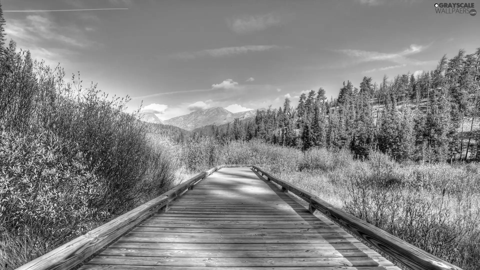 grass, Mountains, trees, viewes, bridges